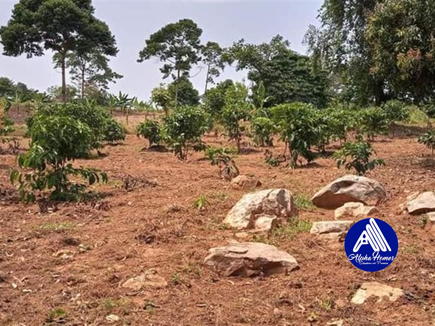 Agricultural Land for sale in Nkokonjeru Buyikwe