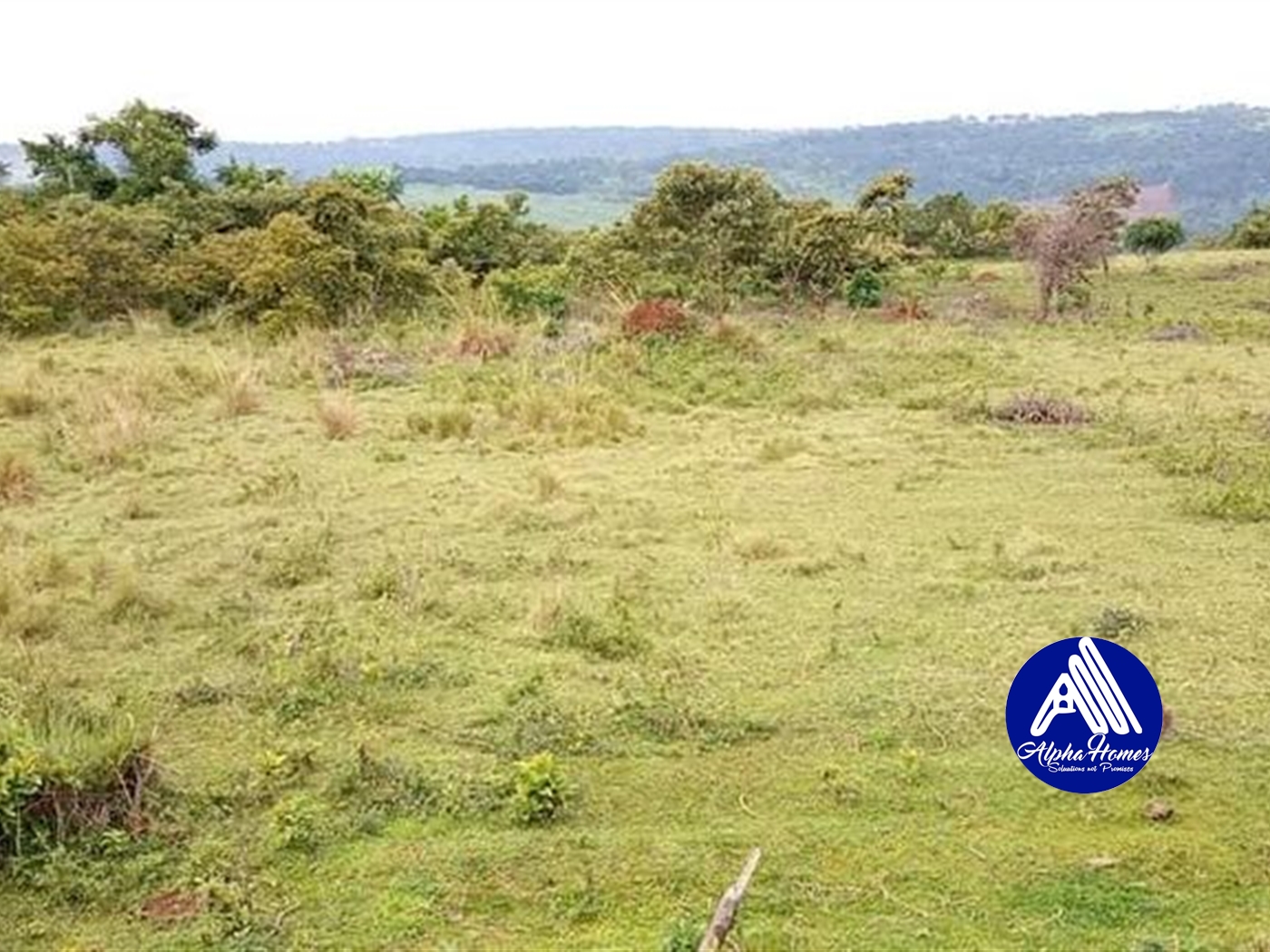 Agricultural Land for sale in Nkokonjeru Mukono