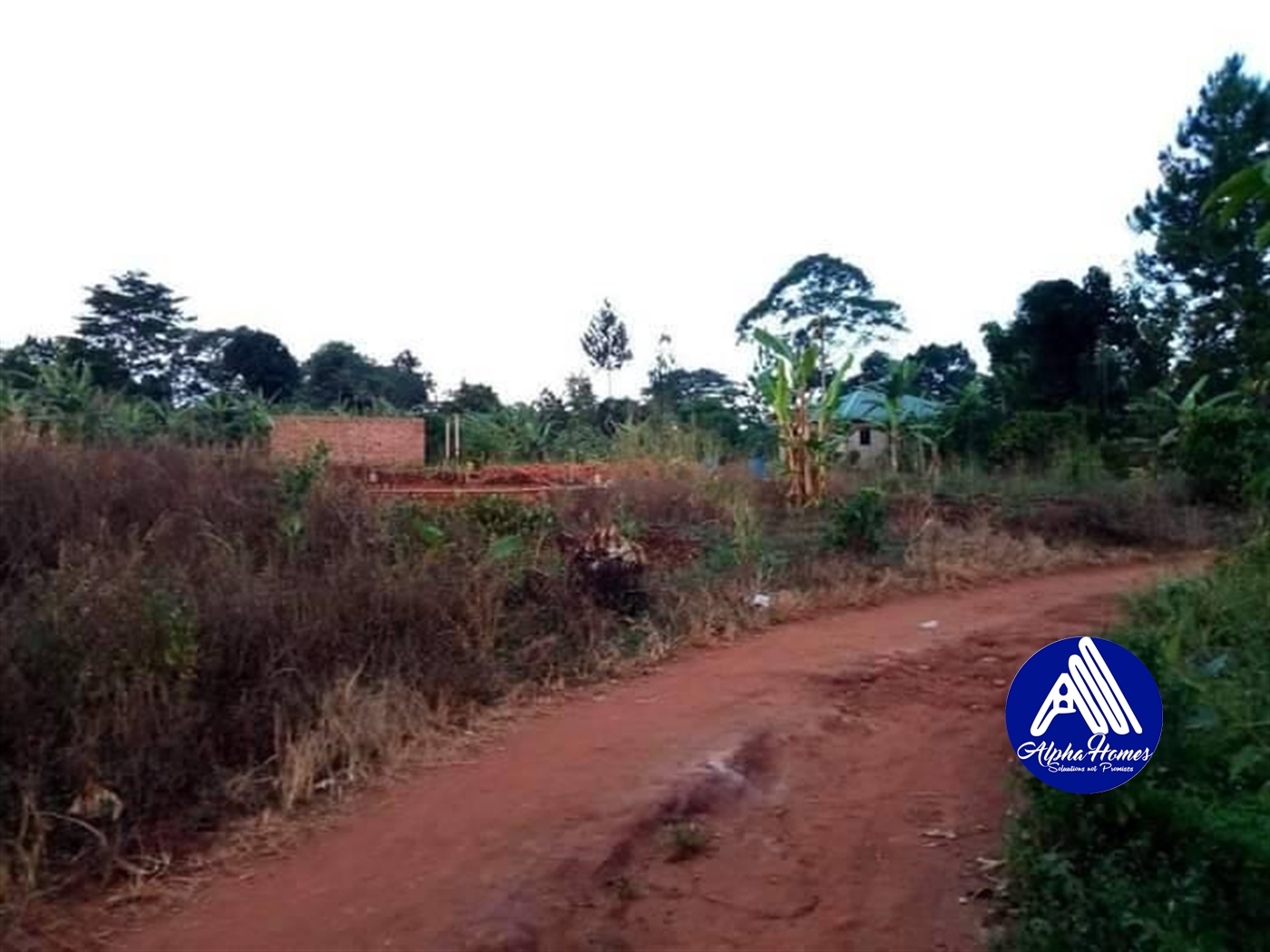 Residential Land for sale in Nakifuma Mukono