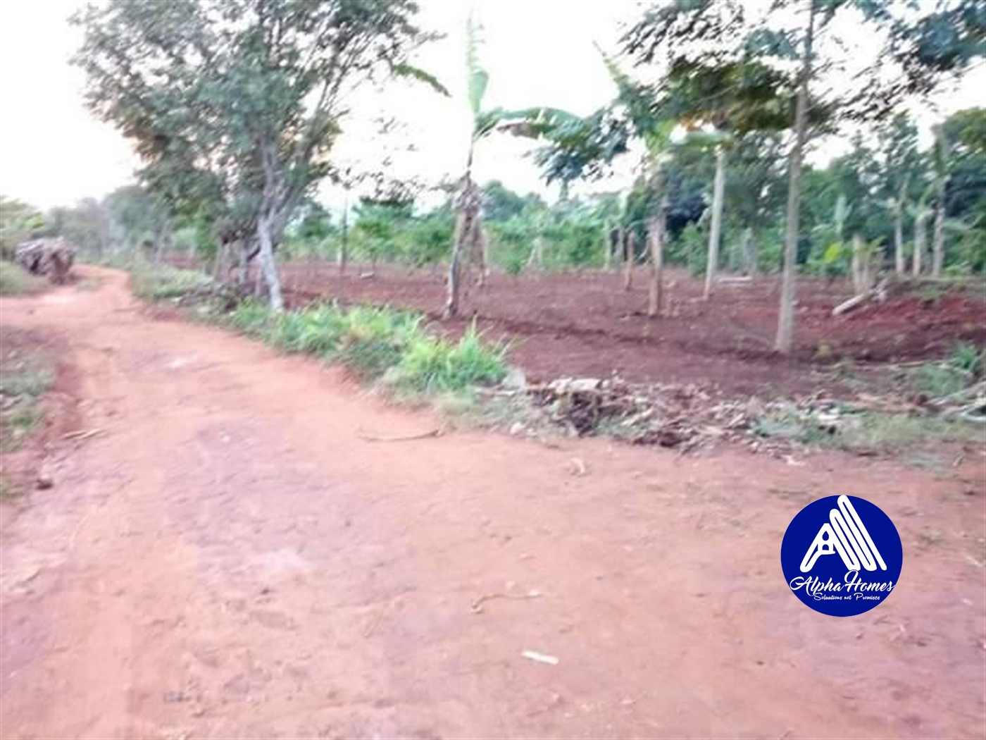 Residential Land for sale in Nakifuma Mukono