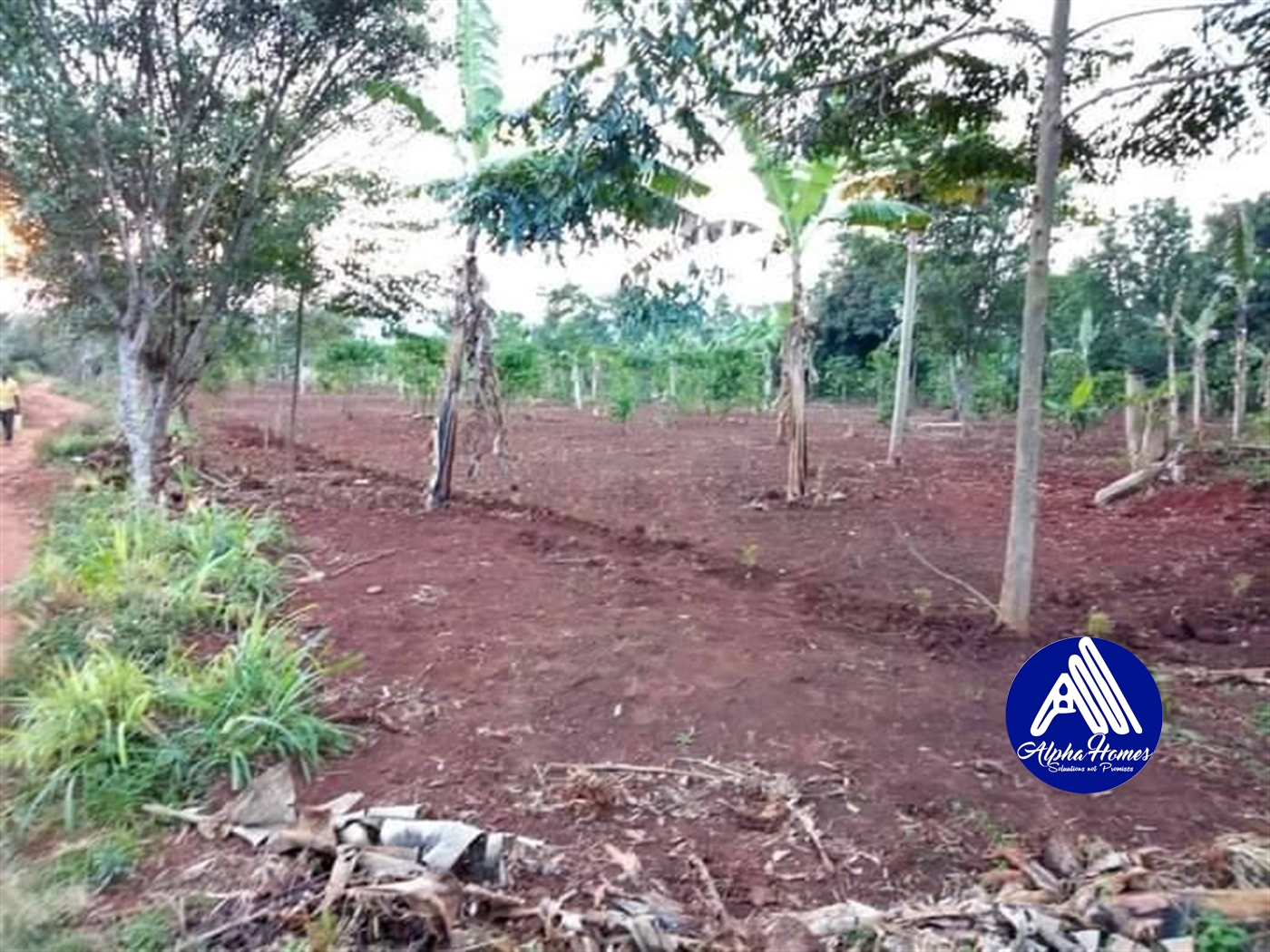 Residential Land for sale in Nakifuma Mukono