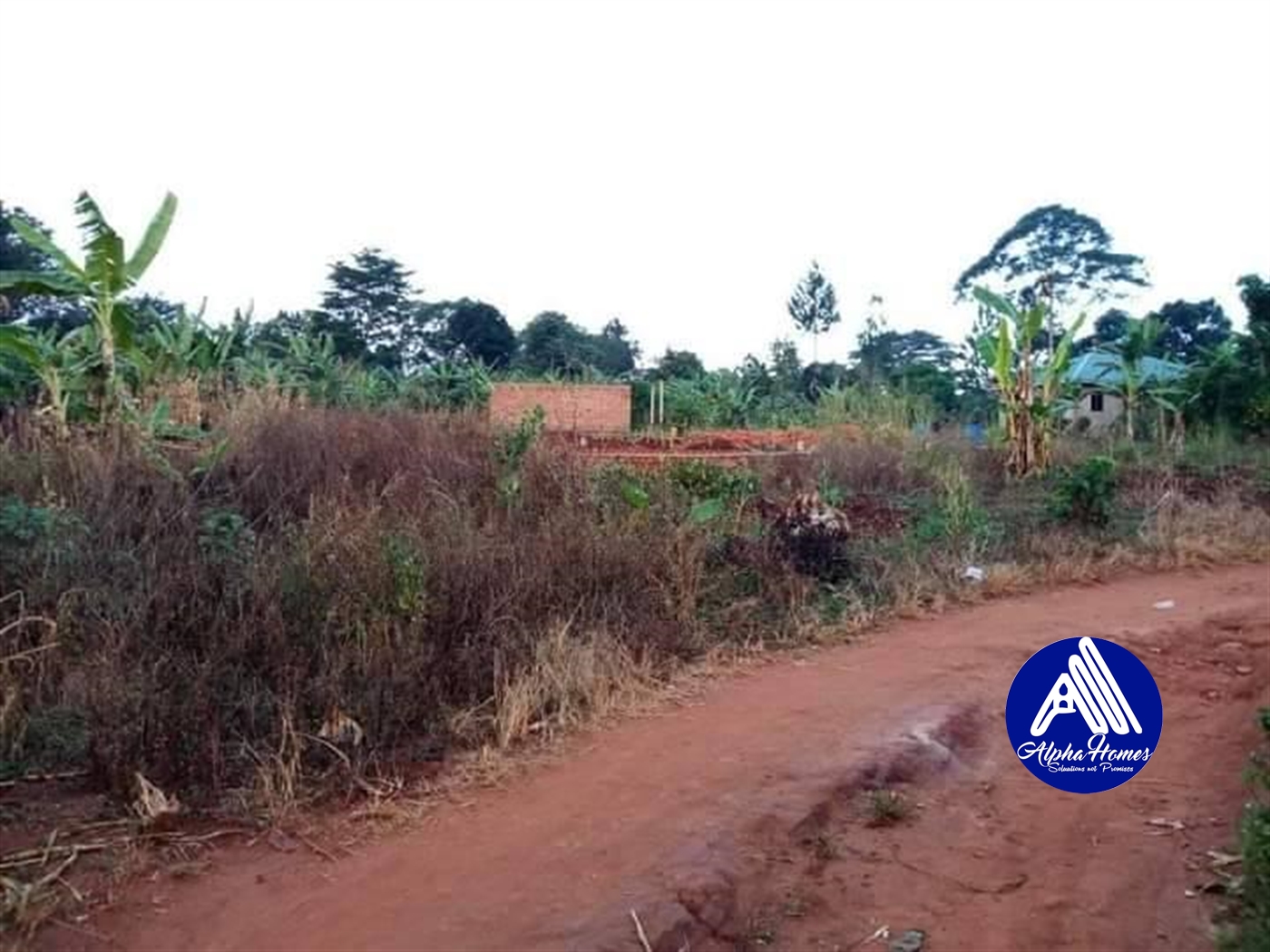 Residential Land for sale in Nakifuma Mukono