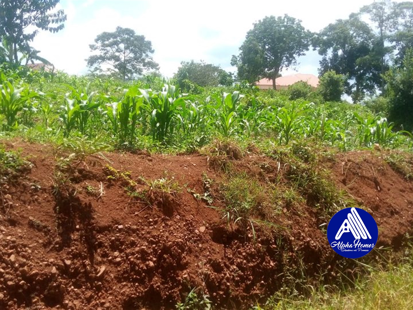 Residential Land for sale in Nakisunga Mukono