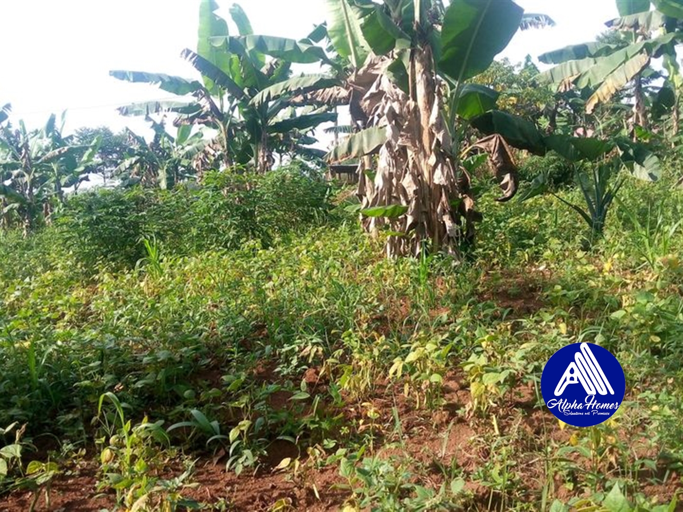 Residential Land for sale in Seeta Mukono