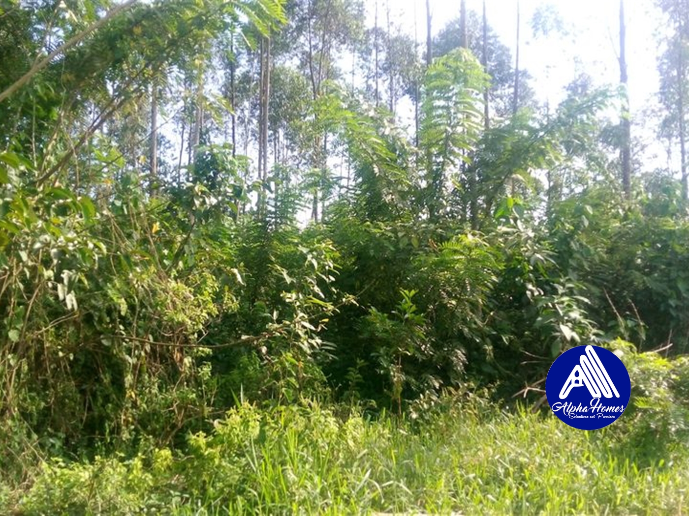 Residential Land for sale in Seeta Mukono