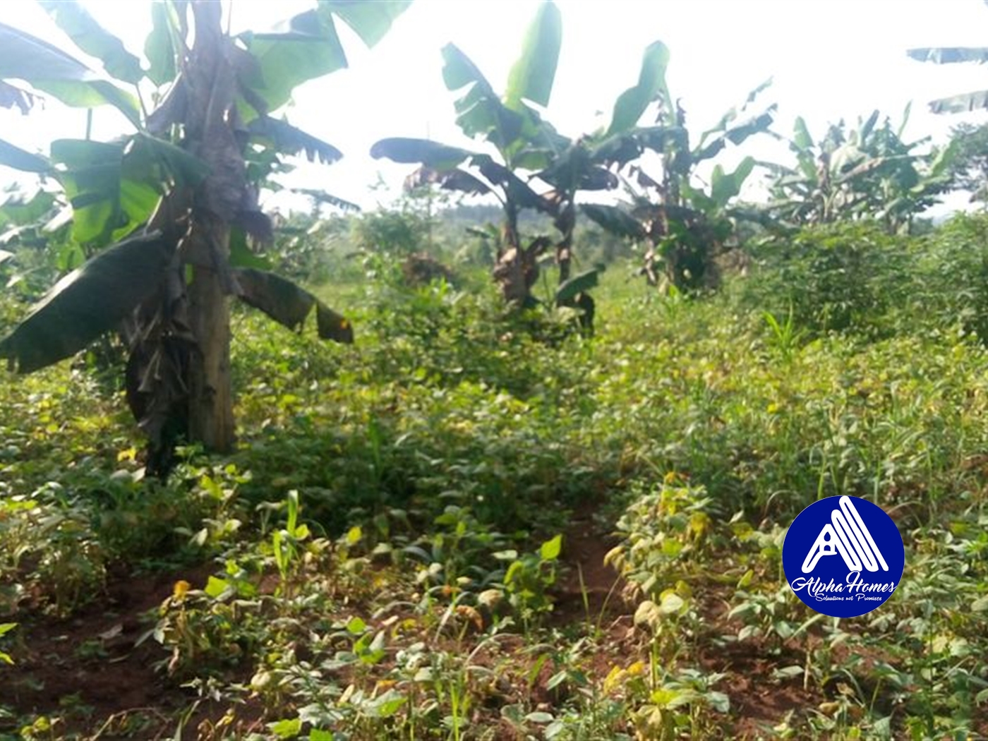 Residential Land for sale in Seeta Mukono