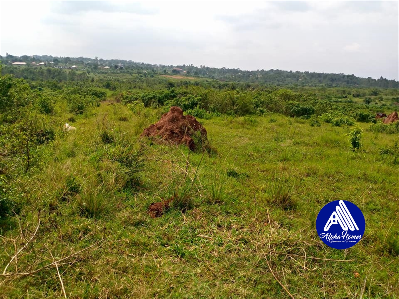 Residential Land for sale in Namugongo Wakiso