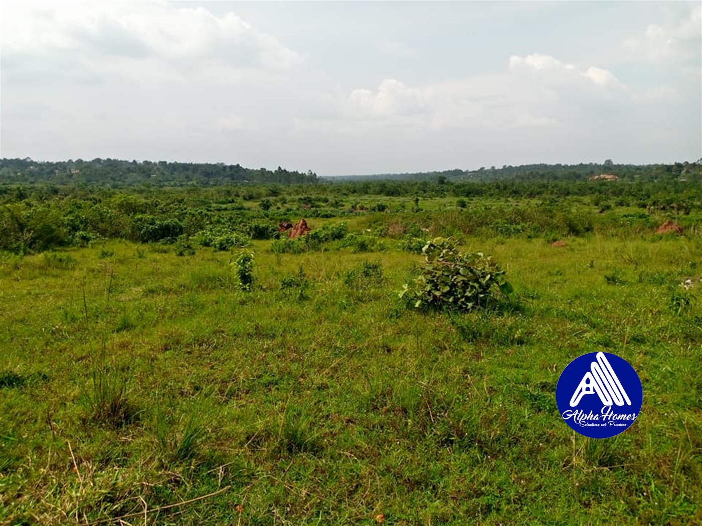 Residential Land for sale in Namugongo Wakiso