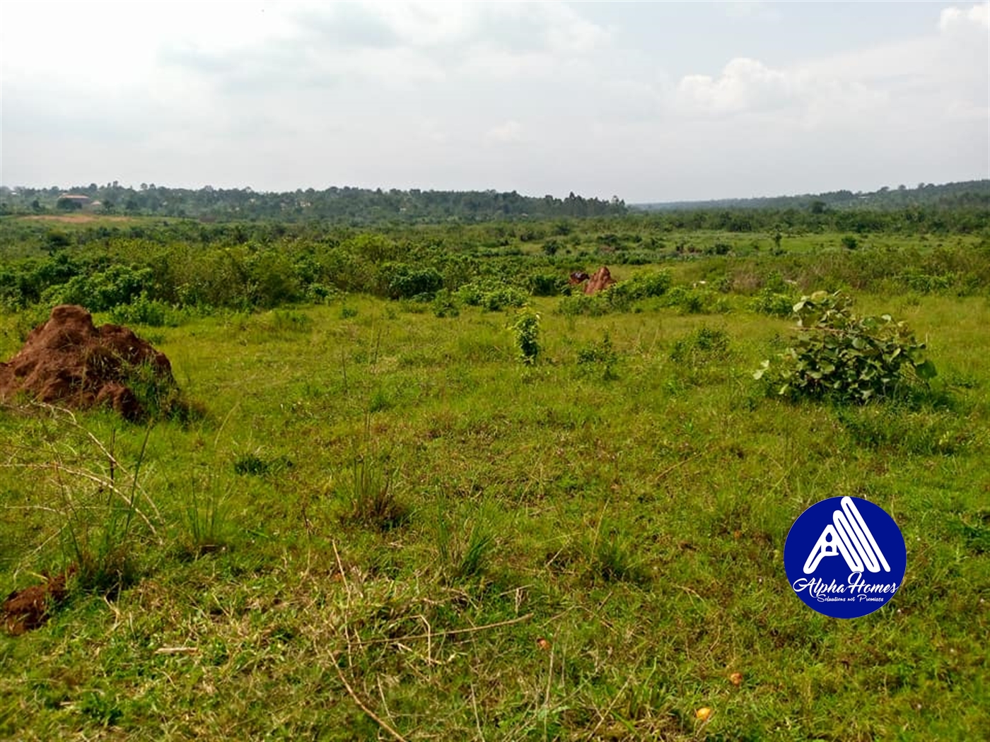 Residential Land for sale in Namugongo Wakiso