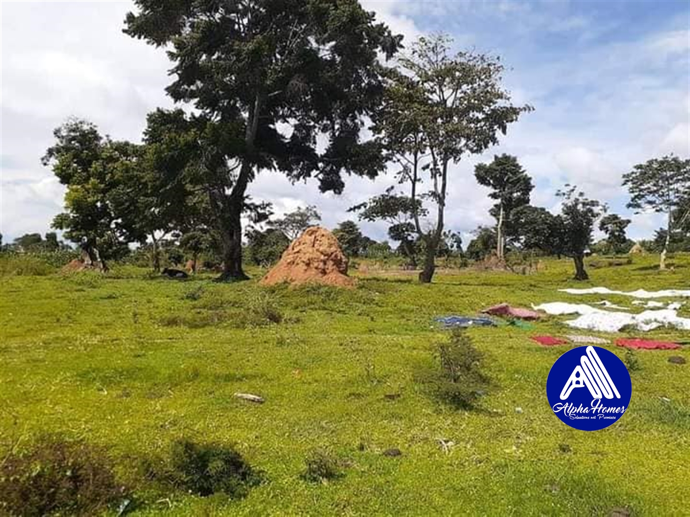 Agricultural Land for sale in Buvuma Buyikwe
