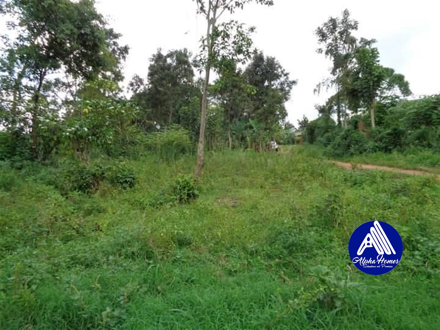 Residential Land for sale in Bukeelele Wakiso