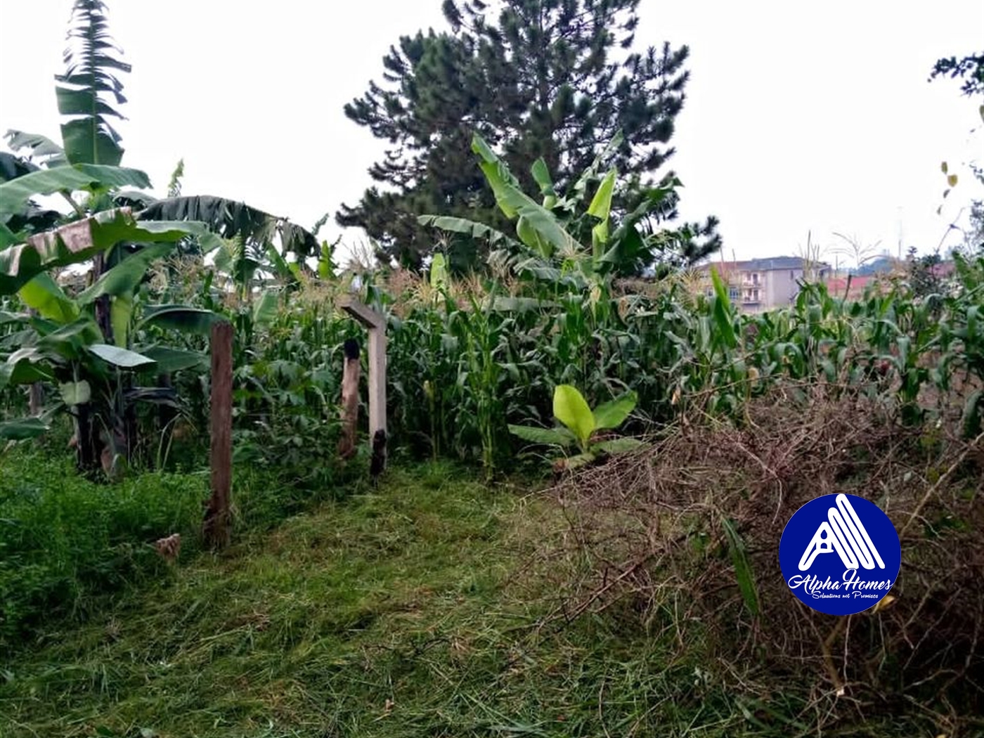 Residential Land for sale in Kyanja Kampala