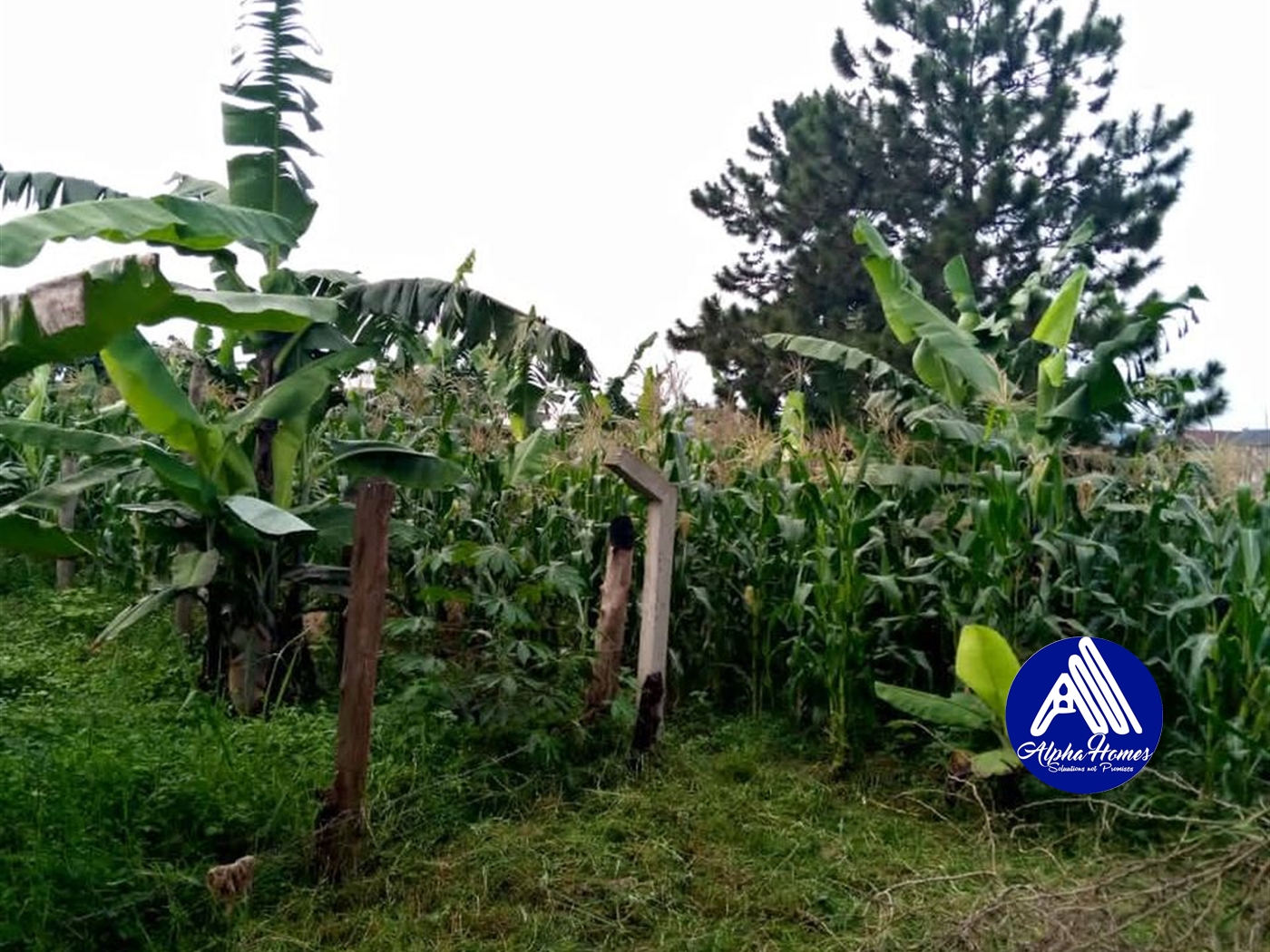 Residential Land for sale in Kyanja Kampala