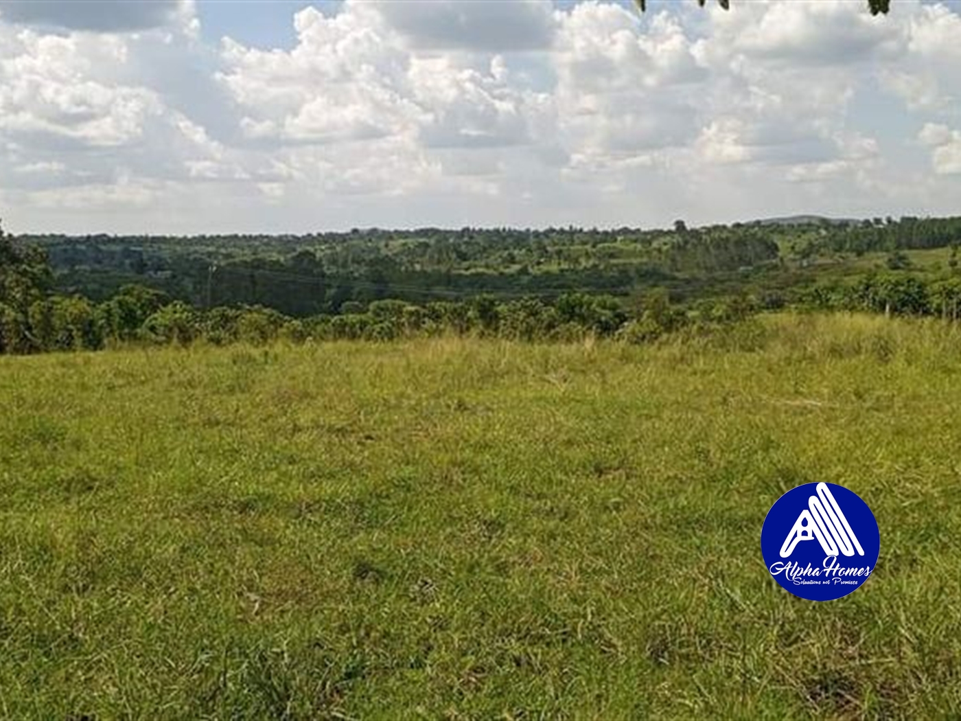 Agricultural Land for sale in Kikyuusa Luweero