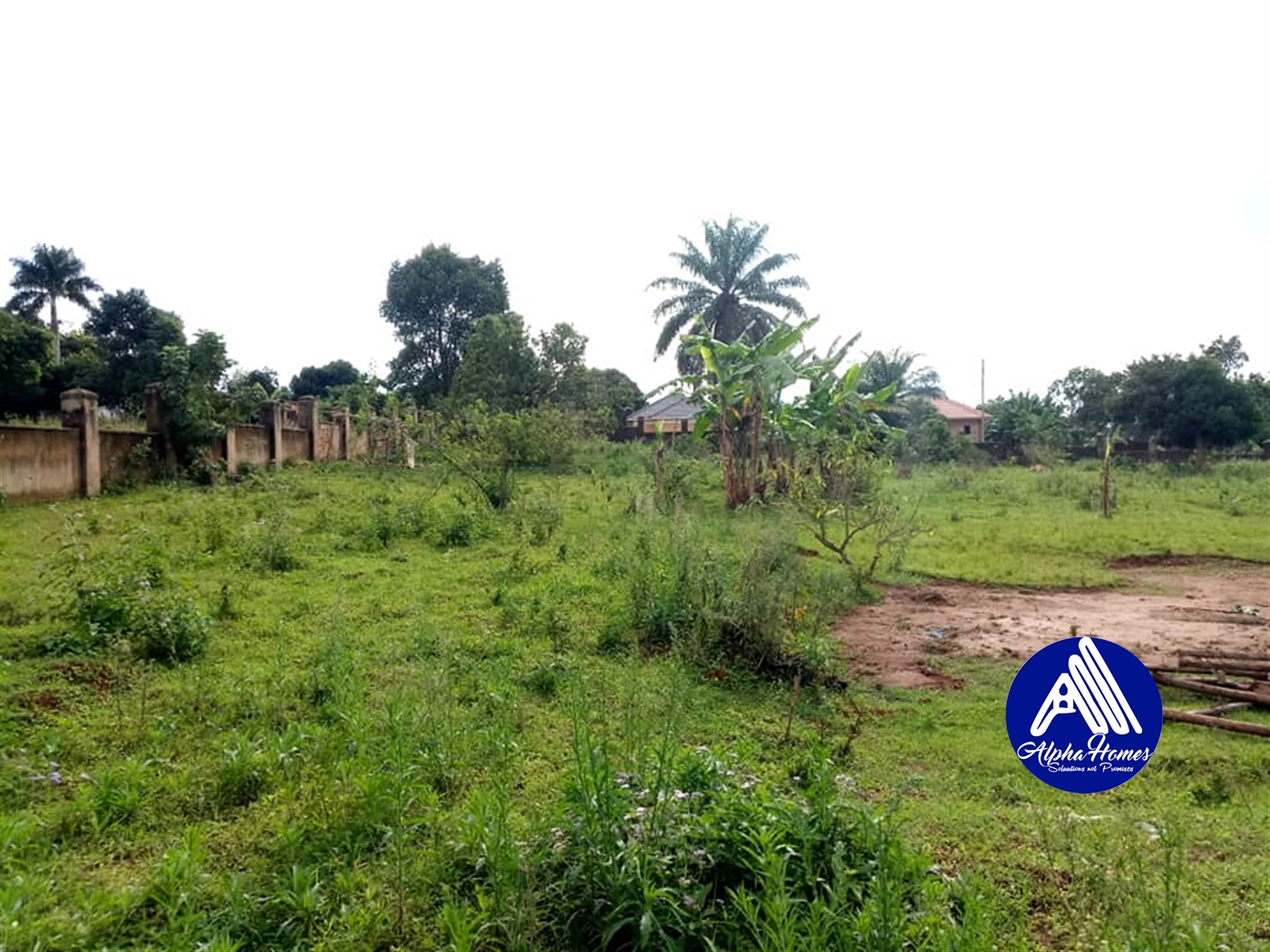 Agricultural Land for sale in Entebbe Wakiso