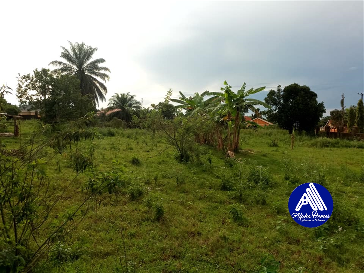 Agricultural Land for sale in Entebbe Wakiso