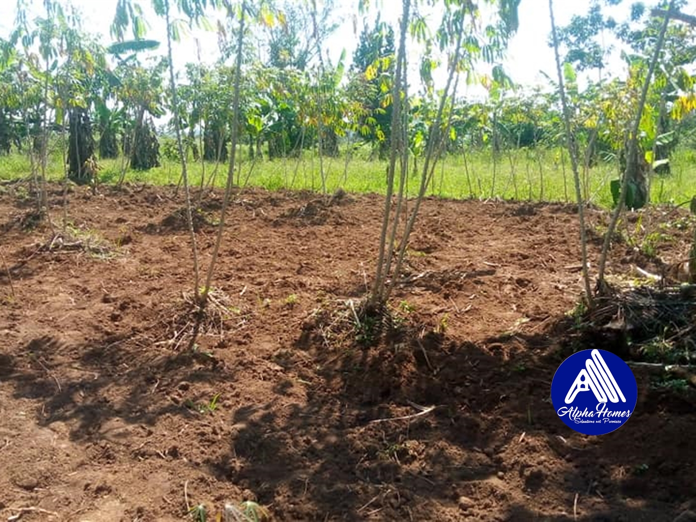 Residential Land for sale in Kabembe Mukono