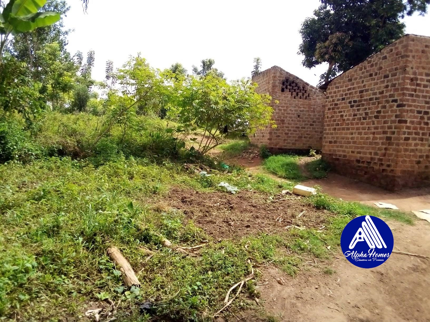 Residential Land for sale in Bukeelele Mukono