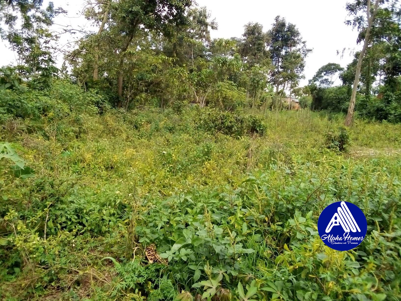 Residential Land for sale in Bukeelele Mukono