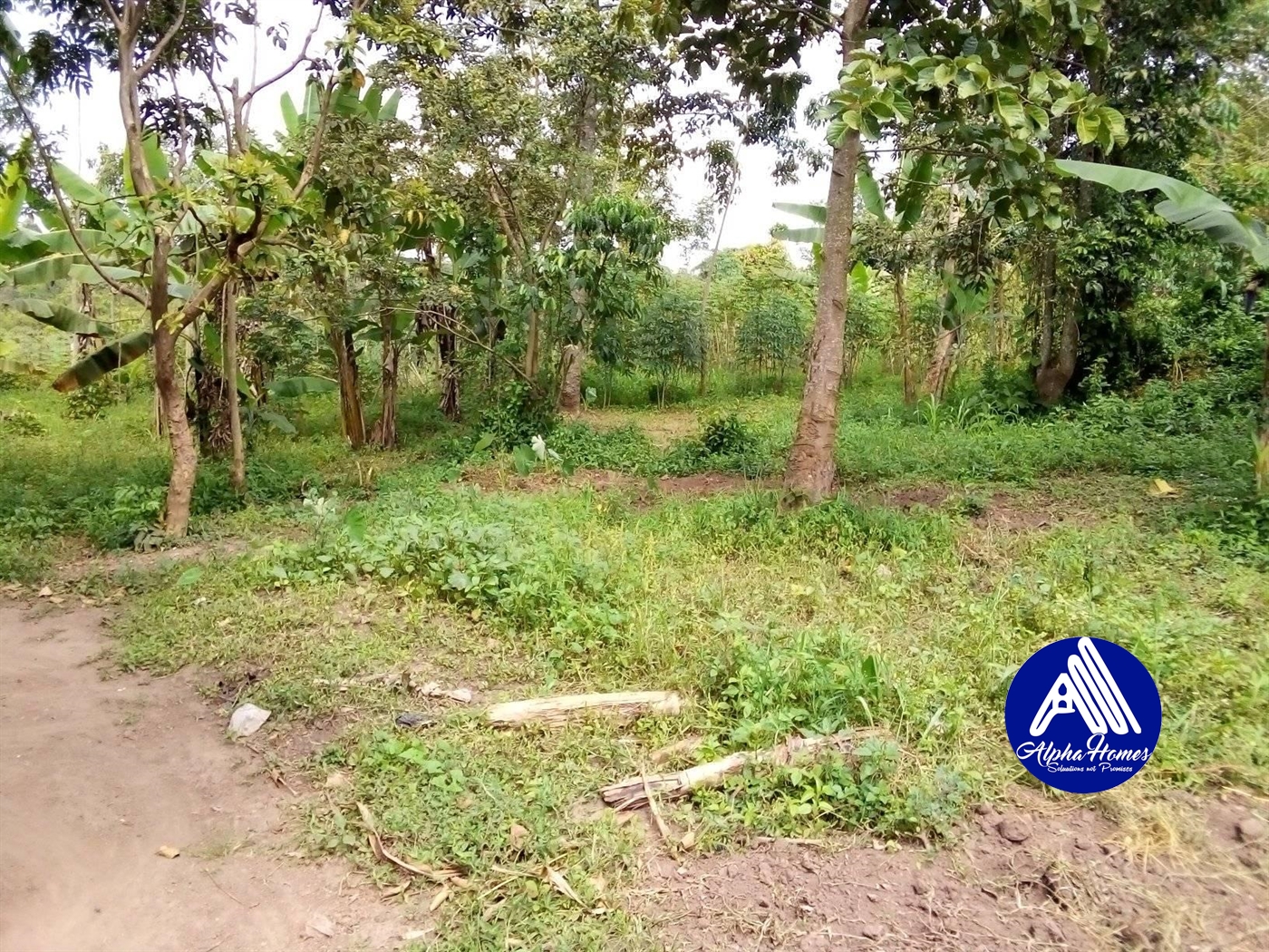 Residential Land for sale in Bukeelele Mukono