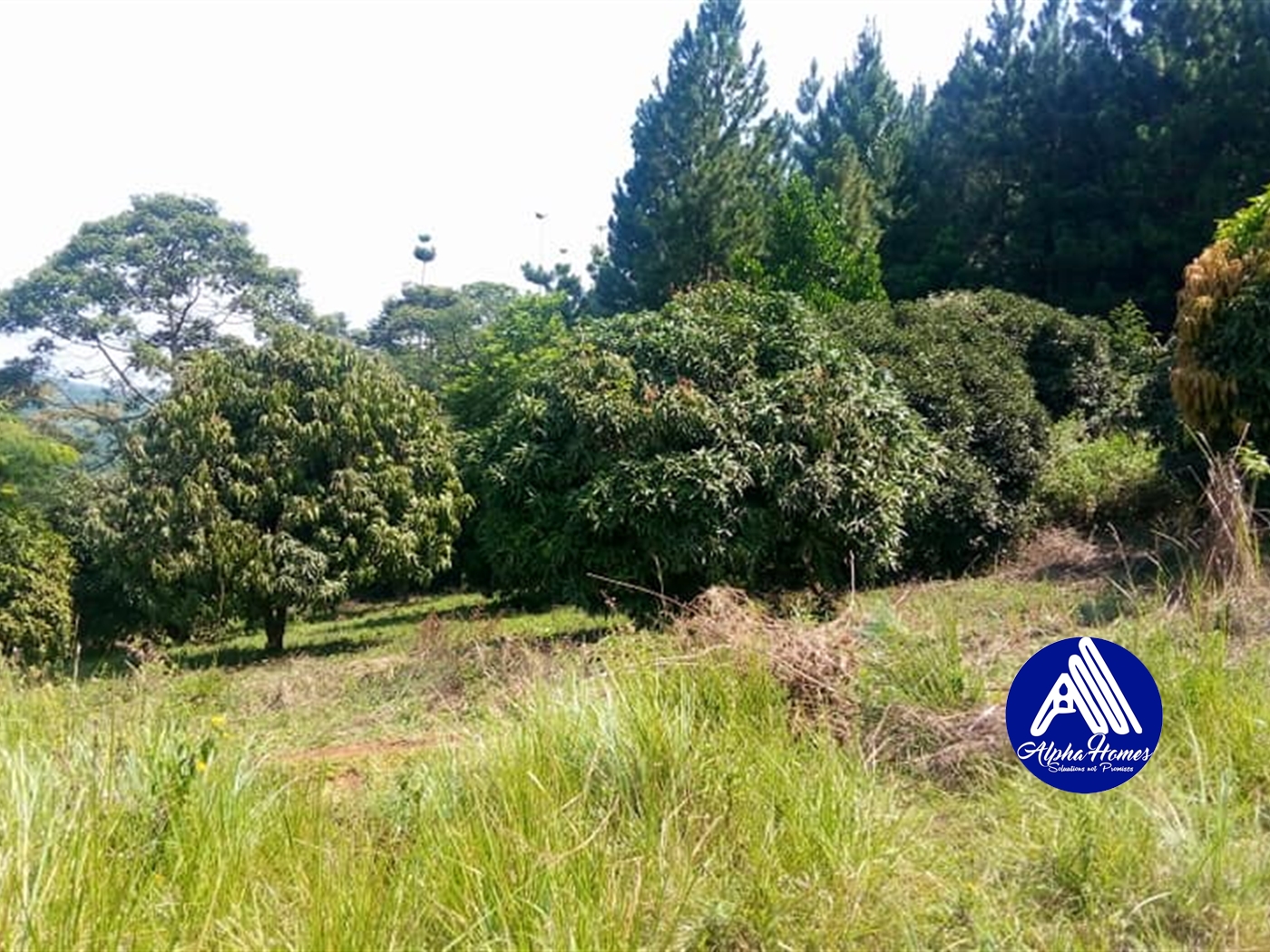 Agricultural Land for sale in Kabembe Mukono