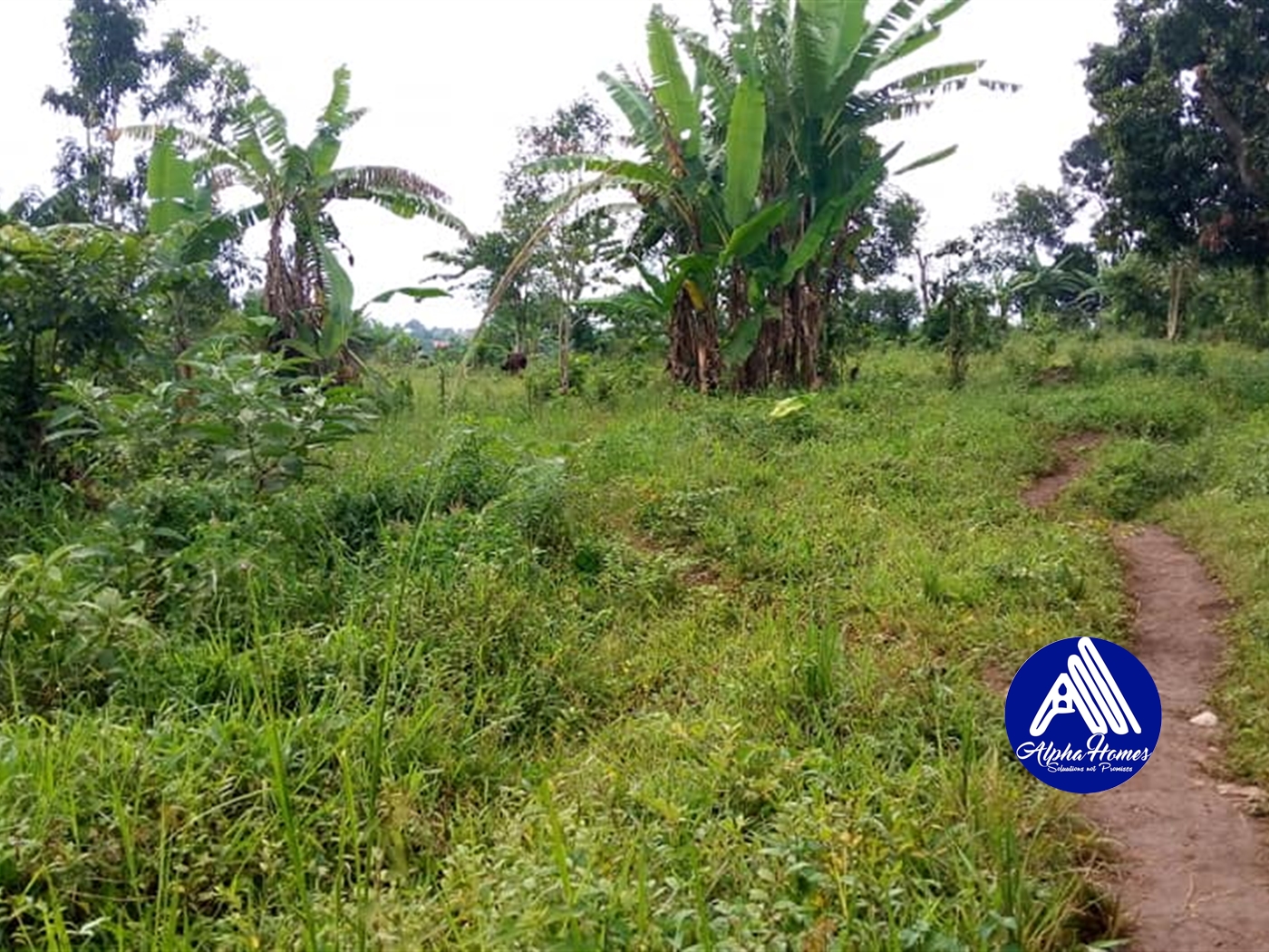 Residential Land for sale in Nsabwe Mukono