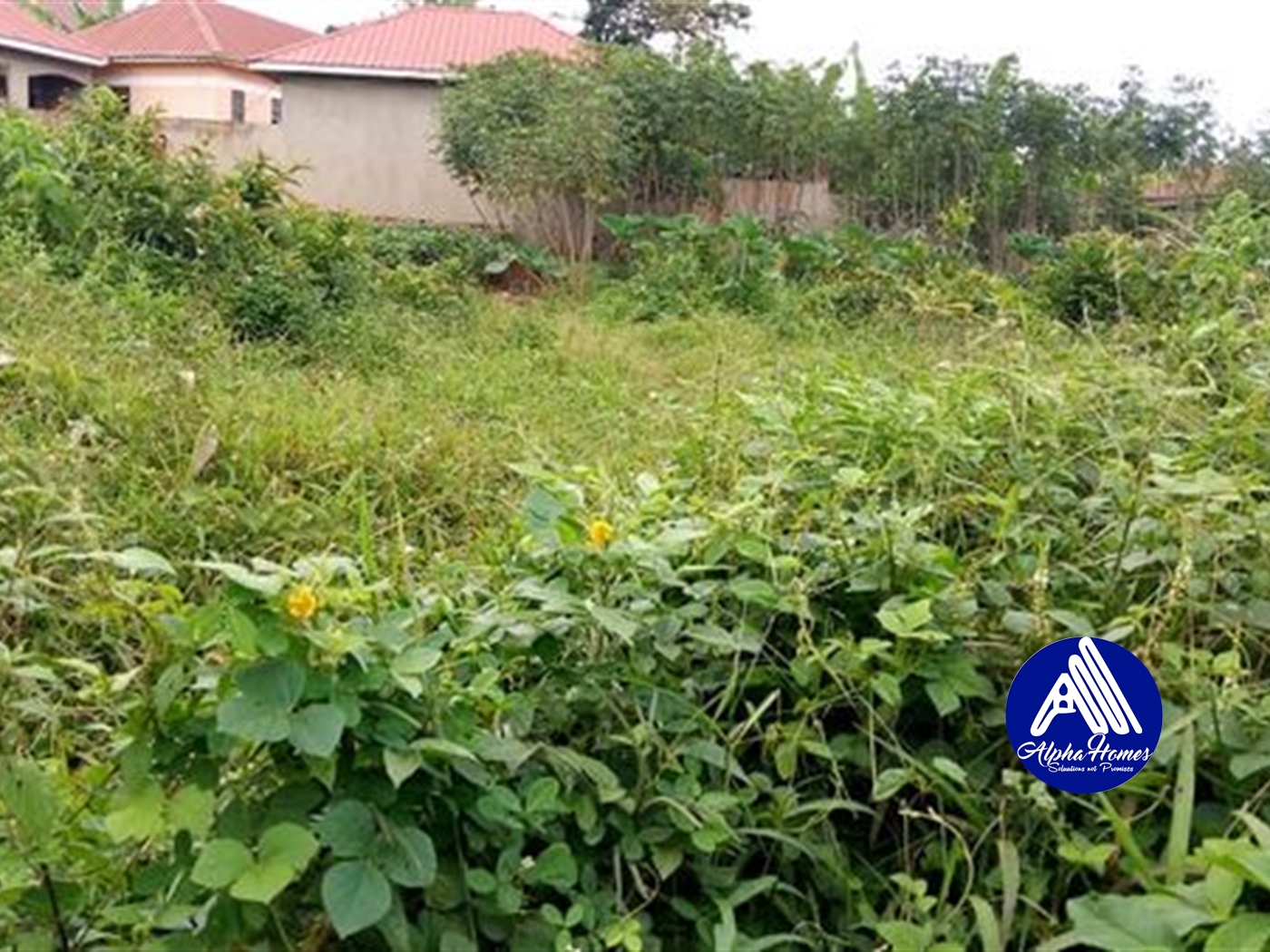 Residential Land for sale in Nsabwe Mukono