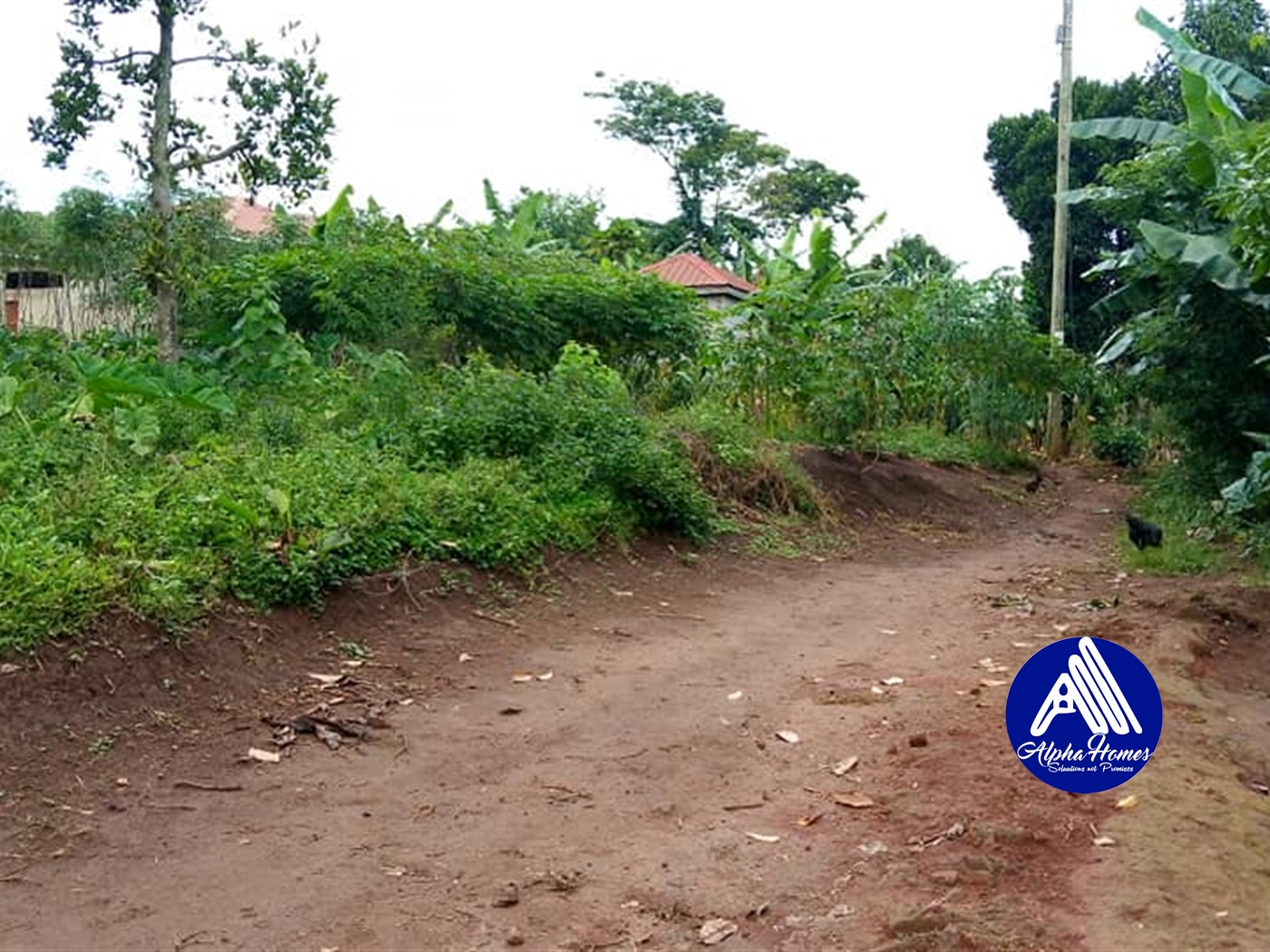 Residential Land for sale in Nsabwe Mukono