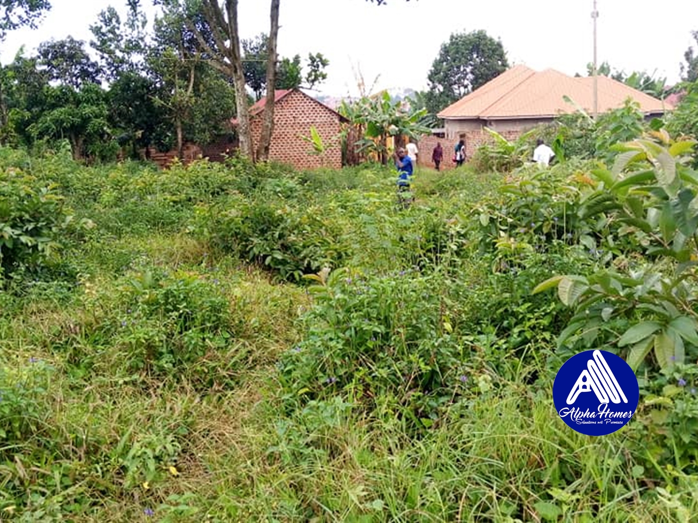 Residential Land for sale in Nsabwe Mukono