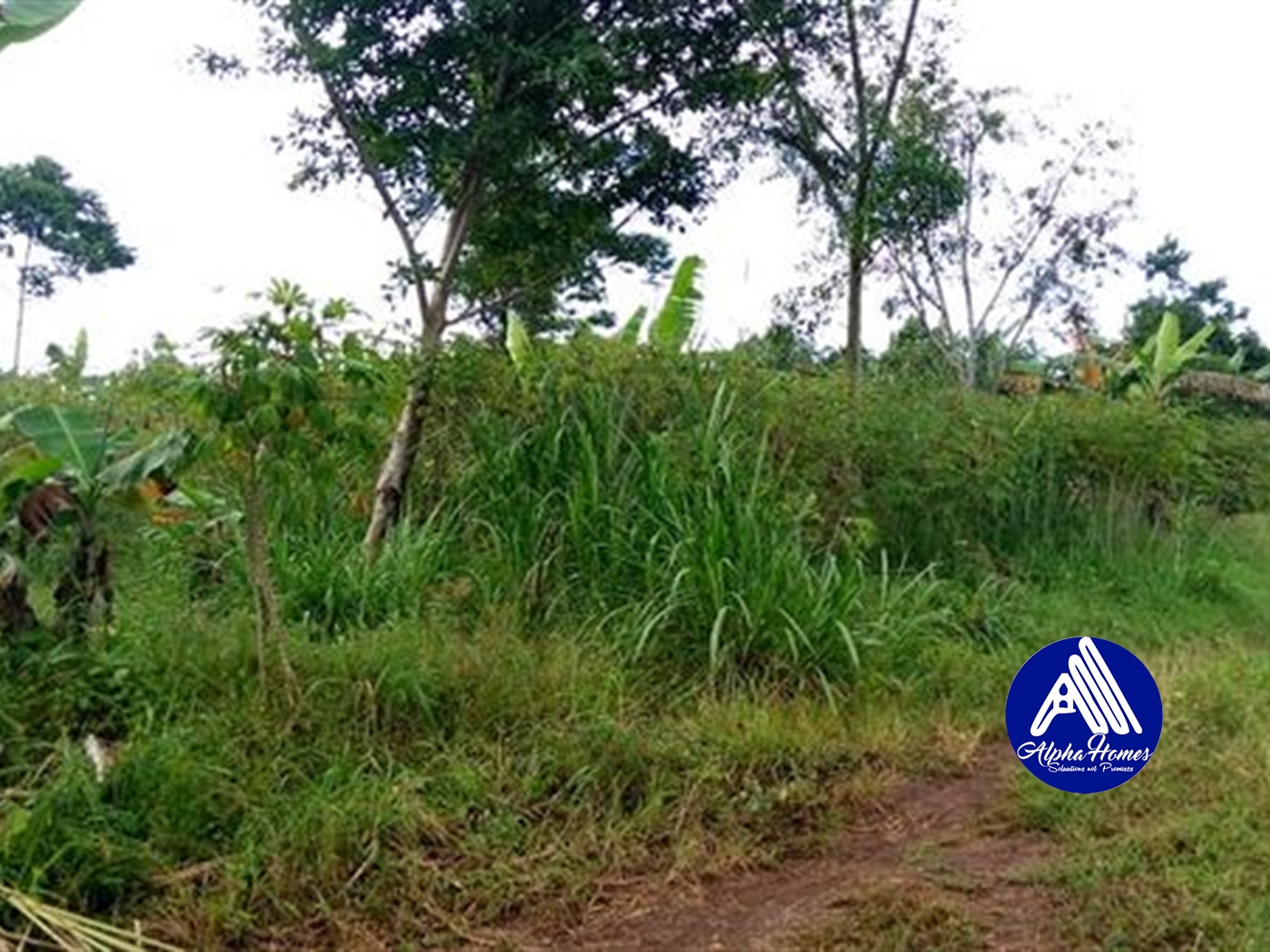 Residential Land for sale in Nsabwe Mukono