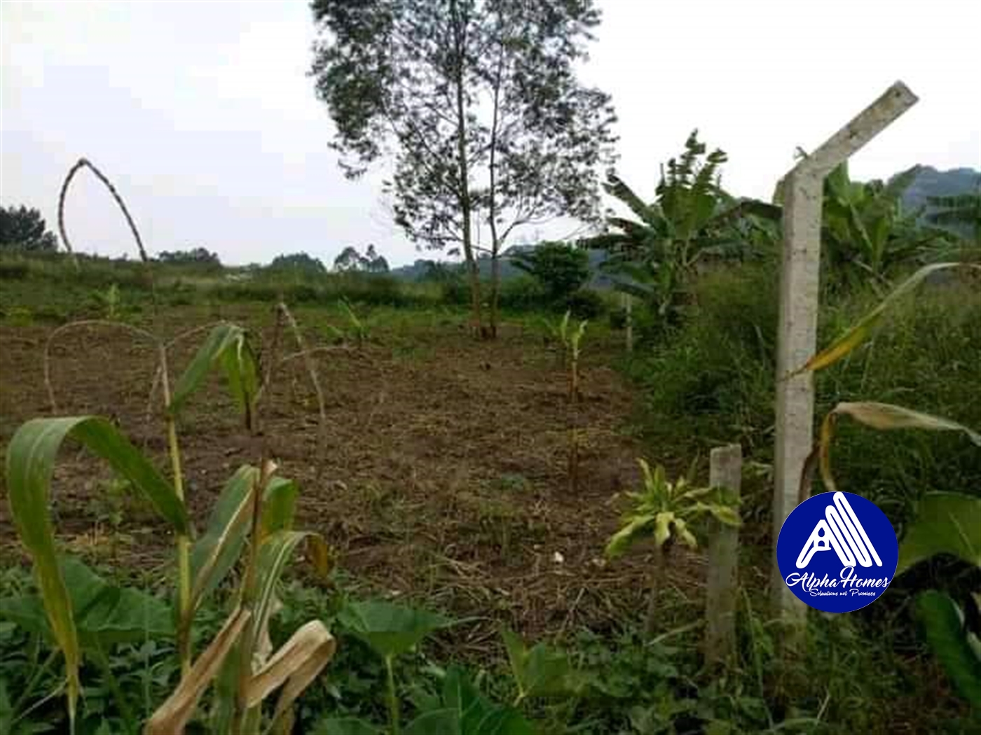 Residential Land for sale in Seeta Mukono