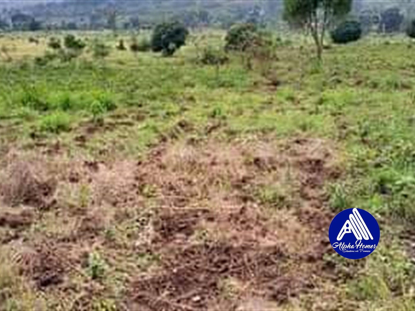 Agricultural Land for sale in Zigoti Mityana