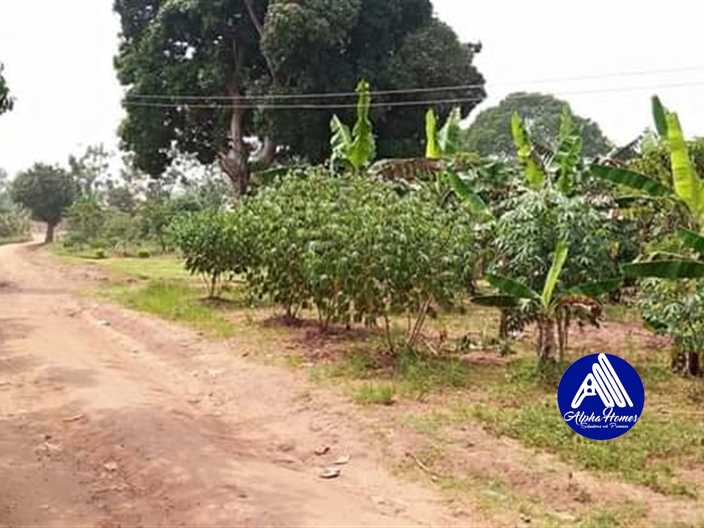 Agricultural Land for sale in Kabembe Kayunga