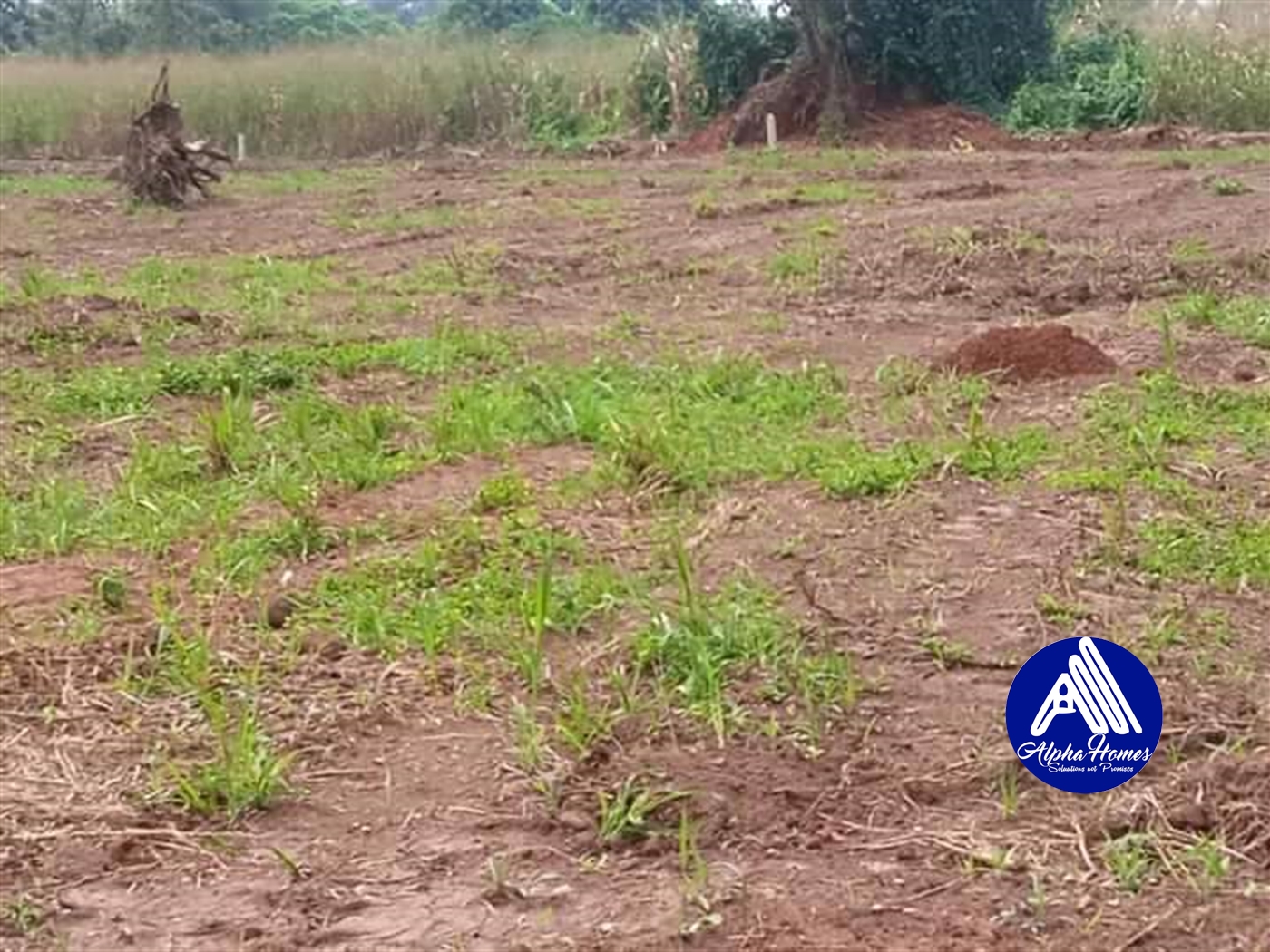 Residential Land for sale in Matugga Wakiso