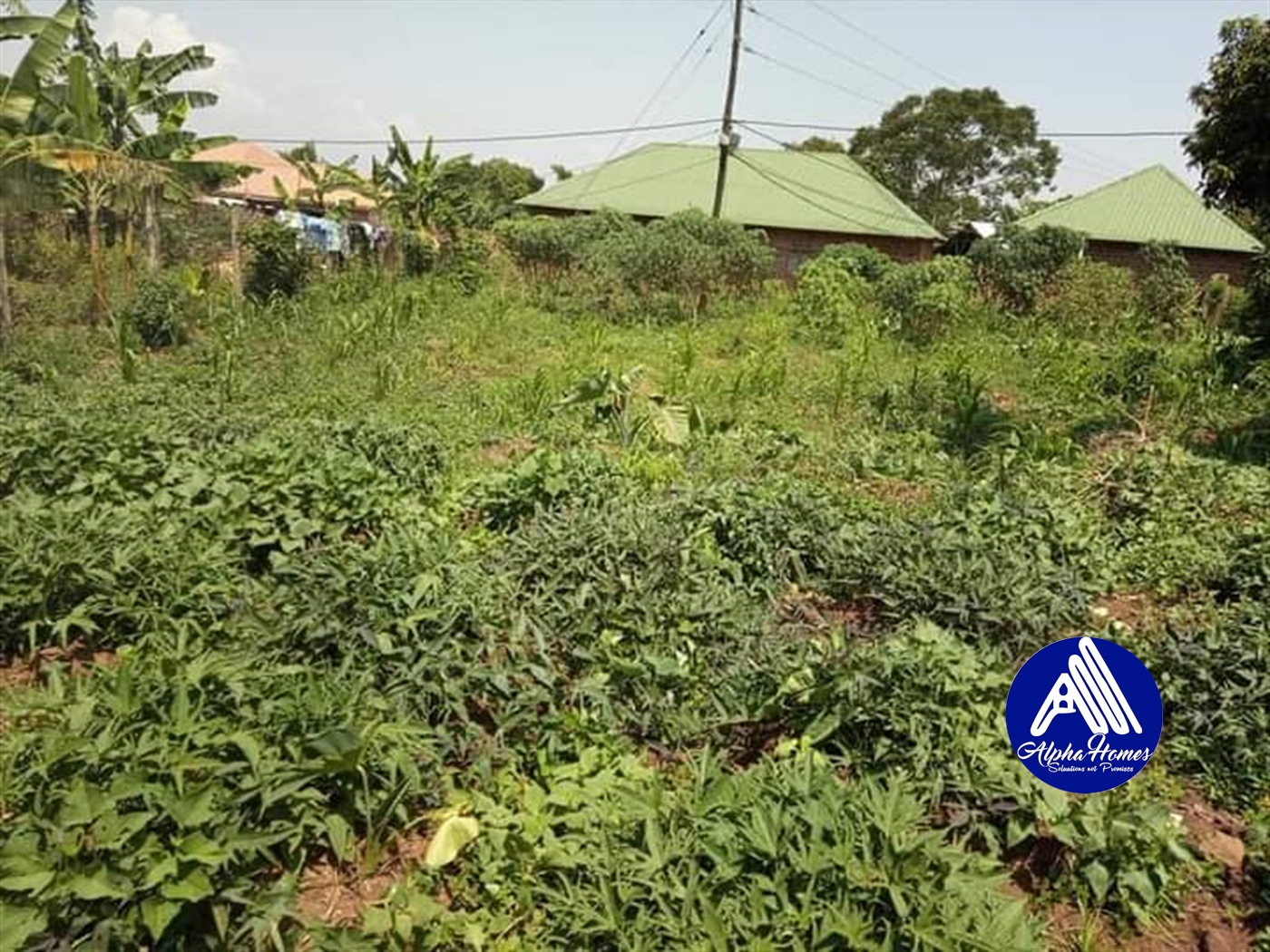 Residential Land for sale in Seeta Mukono