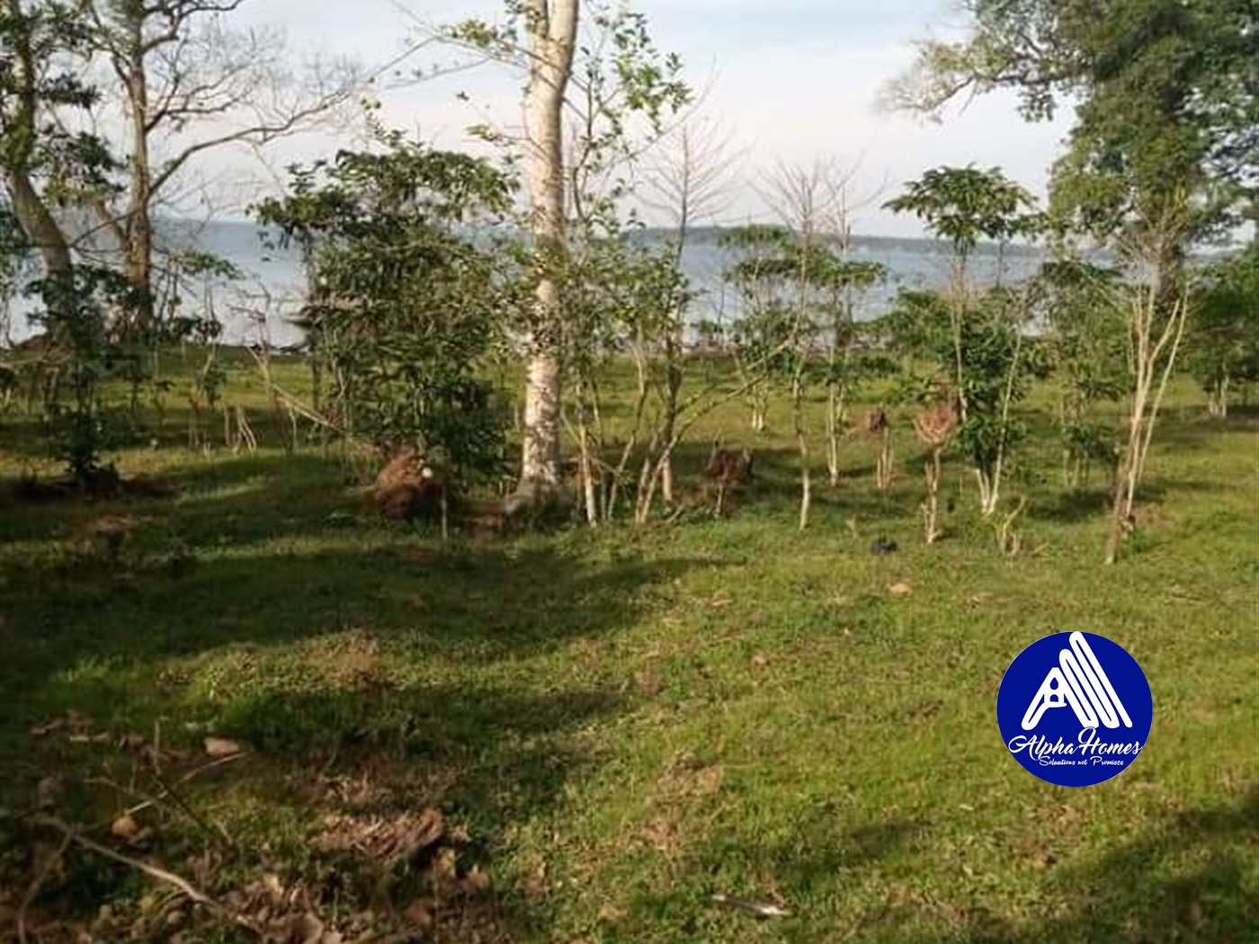 Multipurpose Land for sale in Entebbe Kalangala