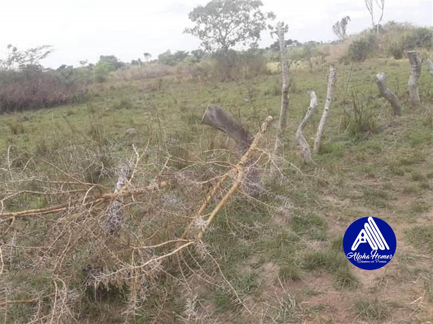 Multipurpose Land for sale in Entebbe Kalangala