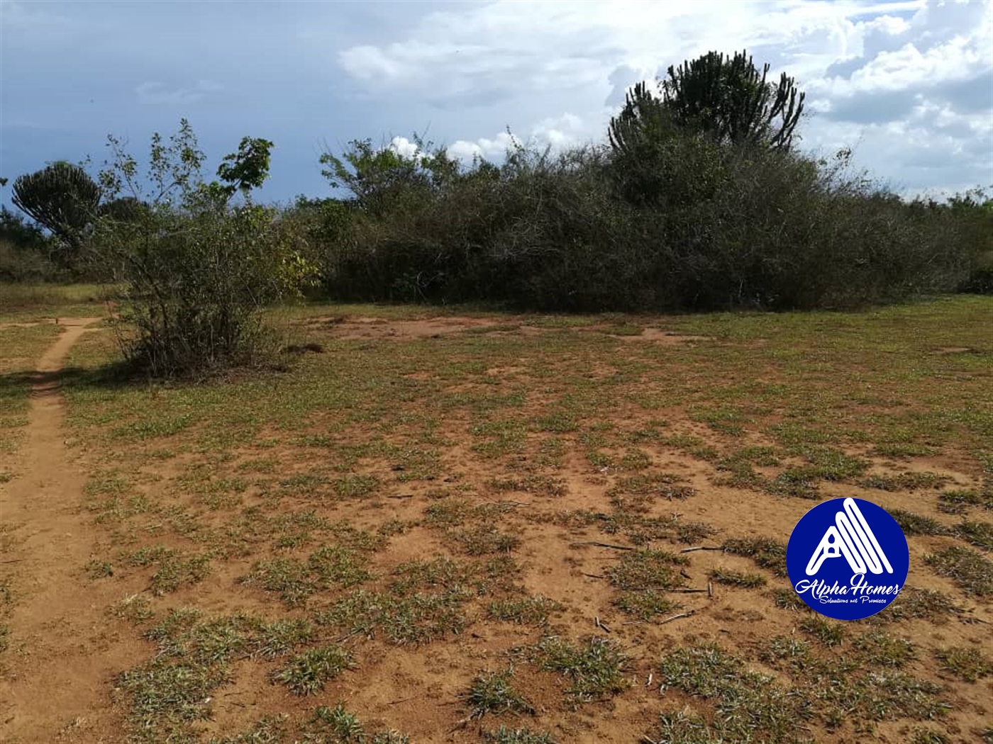 Agricultural Land for sale in Bbaale Kayunga