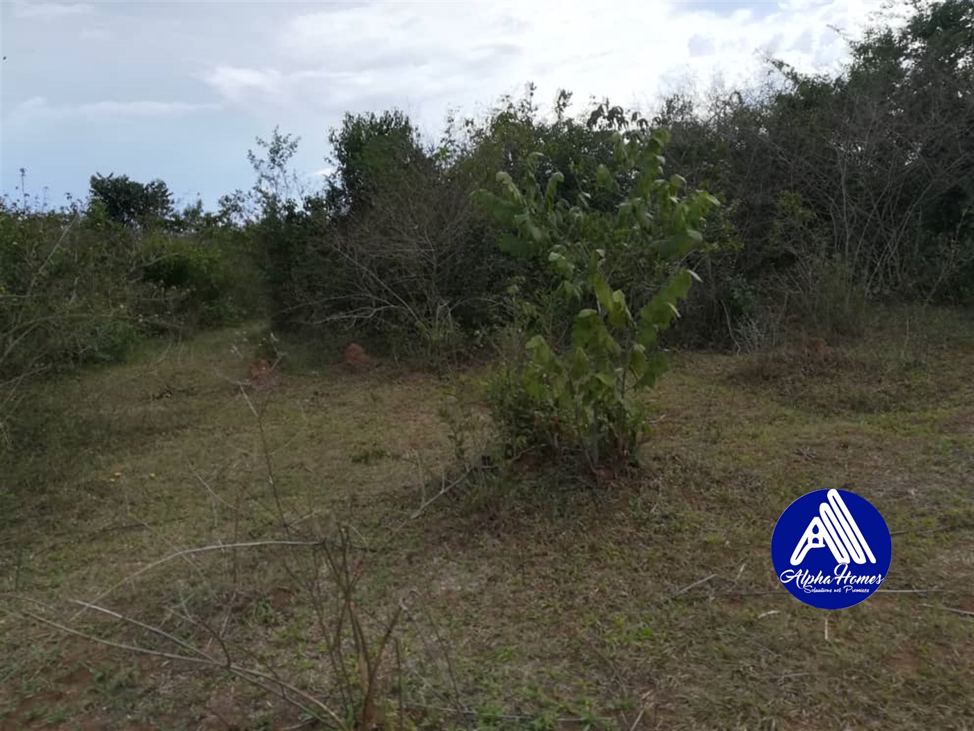 Agricultural Land for sale in Bbaale Kayunga