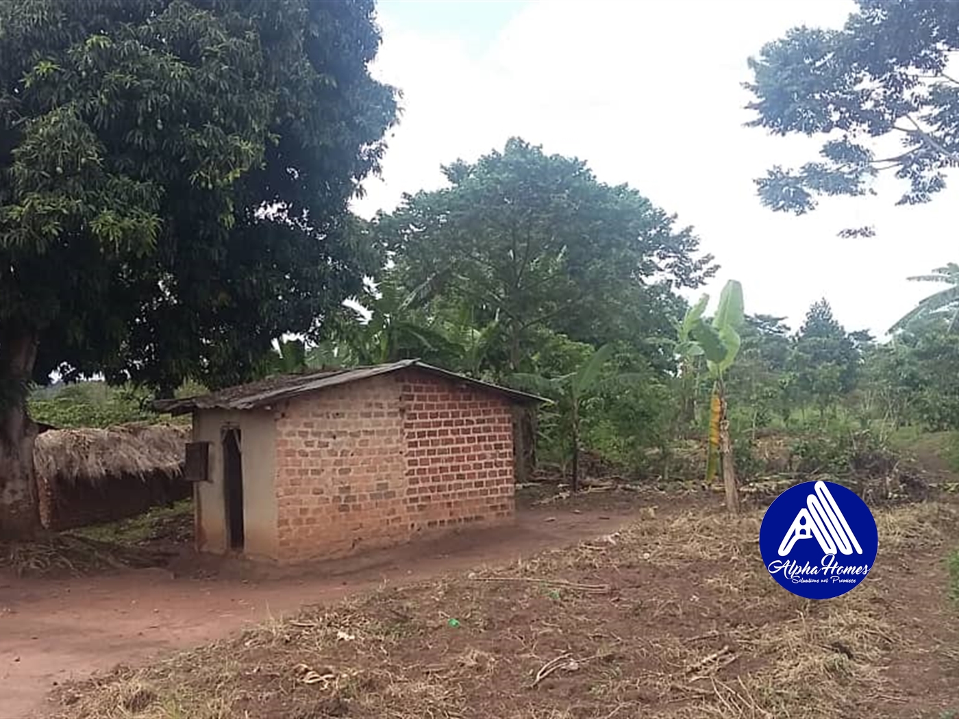 Agricultural Land for sale in Kasana Luweero