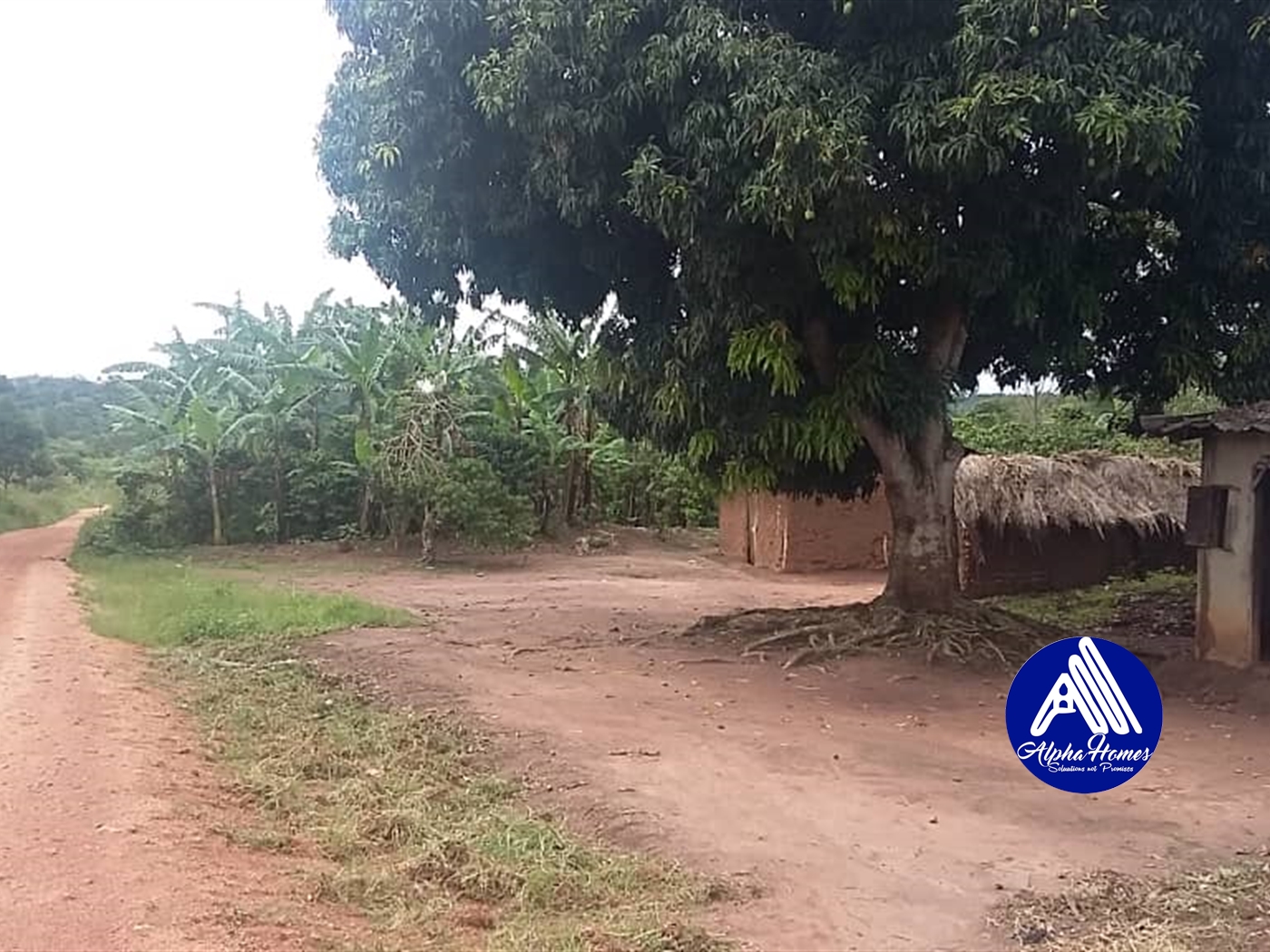 Agricultural Land for sale in Kasana Luweero