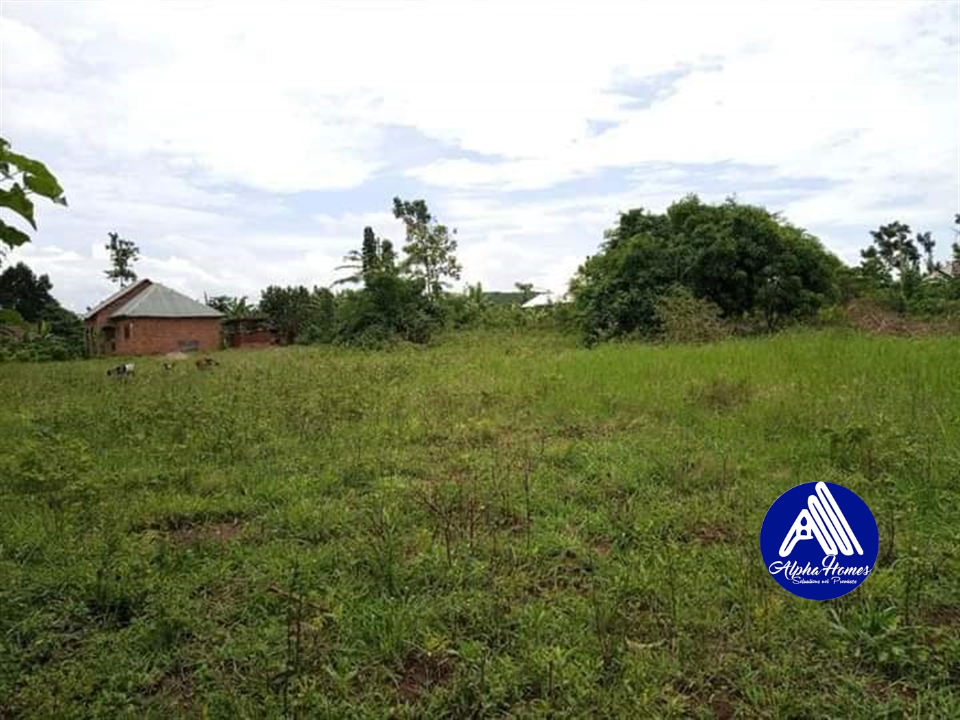 Residential Land for sale in Gayaza Wakiso