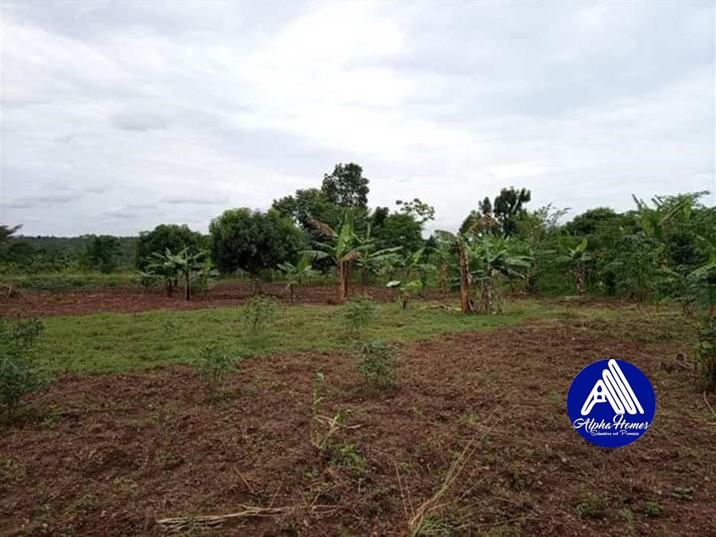 Residential Land for sale in Gayaza Wakiso