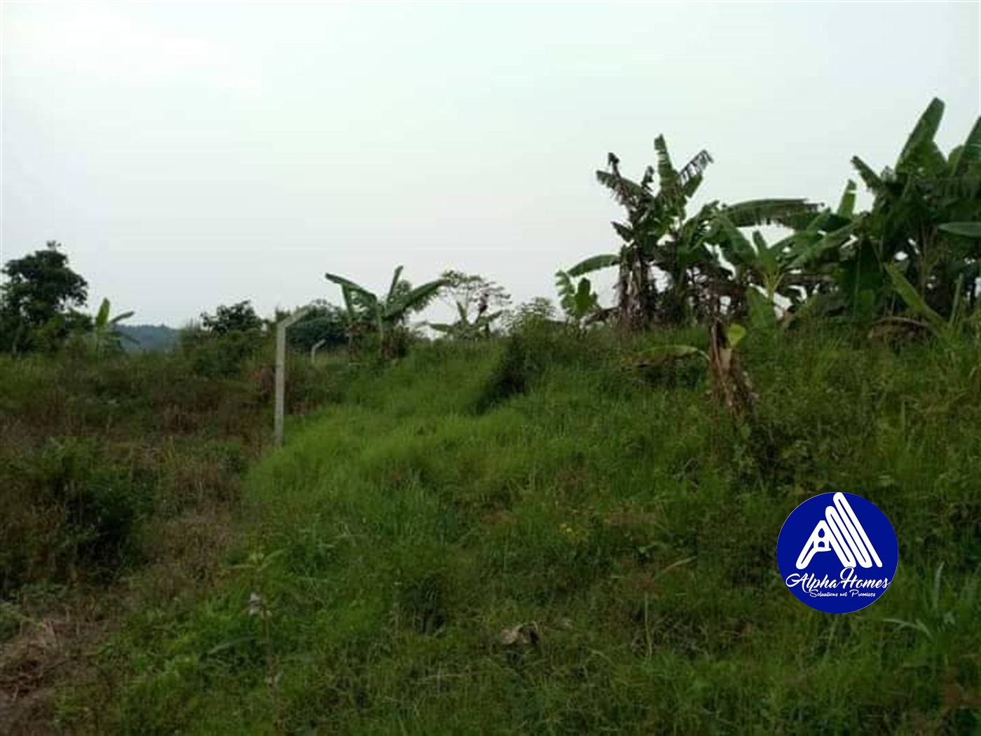 Residential Land for sale in Seeta Mukono