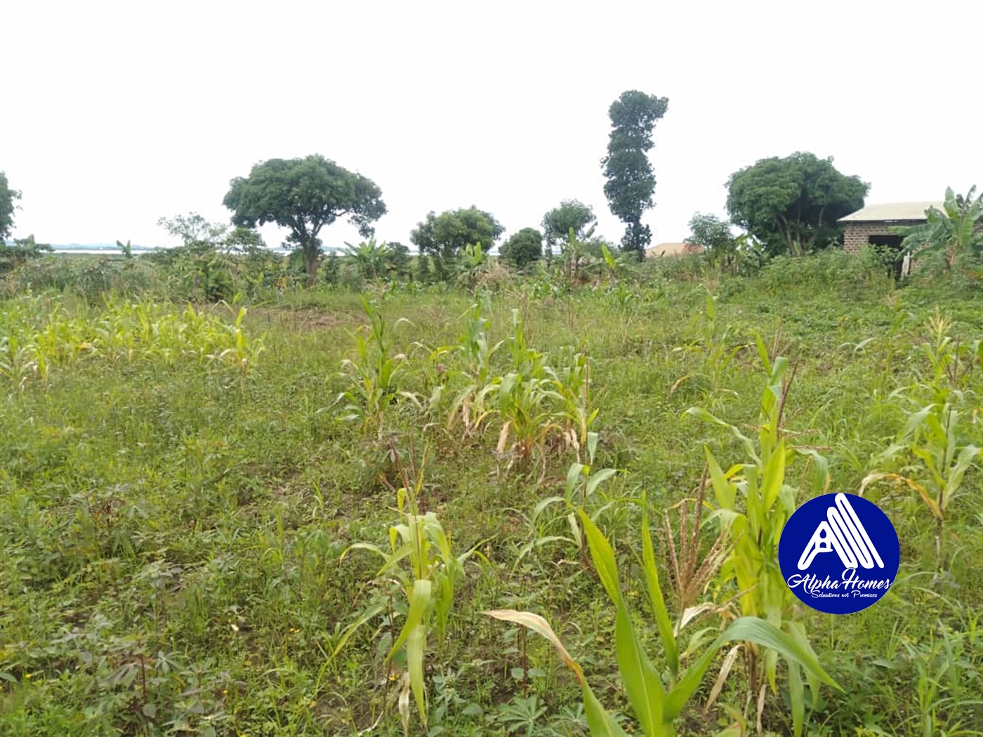 Residential Land for sale in Bweya Wakiso