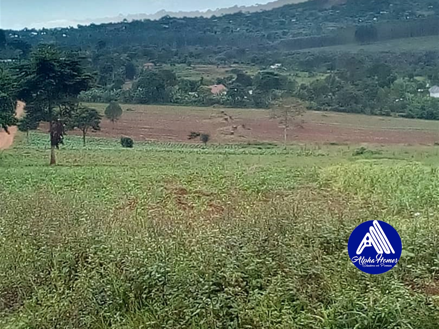 Multipurpose Land for sale in Kasanjje Mpigi