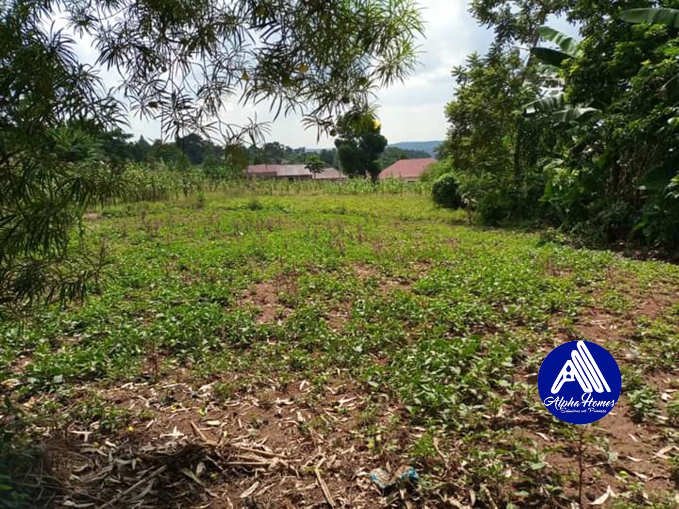 Residential Land for sale in Gayaza Wakiso