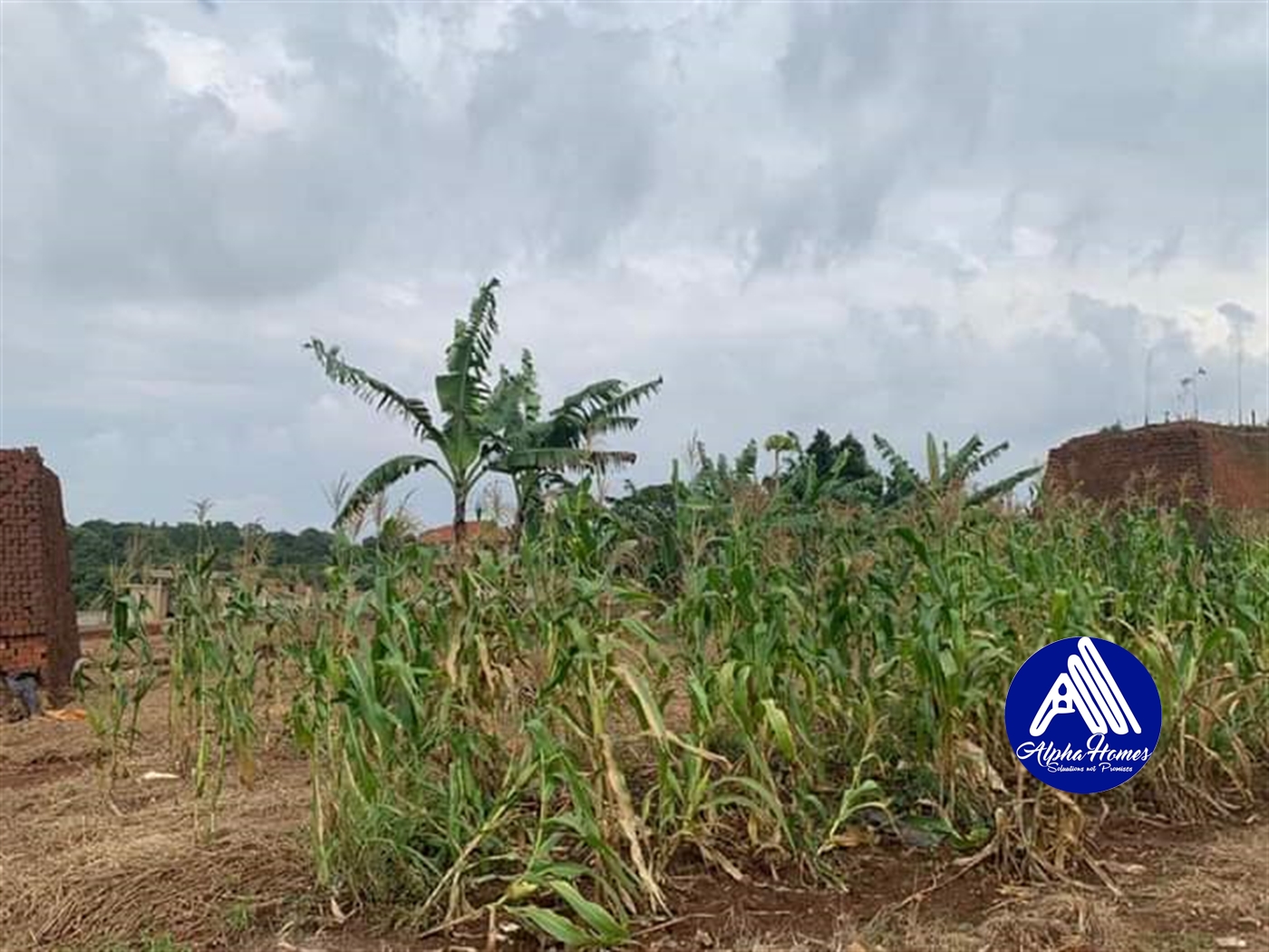 Residential Land for sale in Kira Wakiso