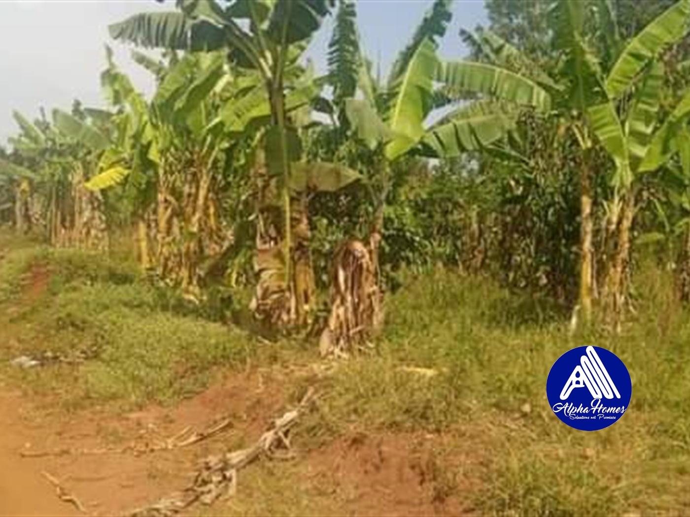 Residential Land for sale in Nakweelo Wakiso