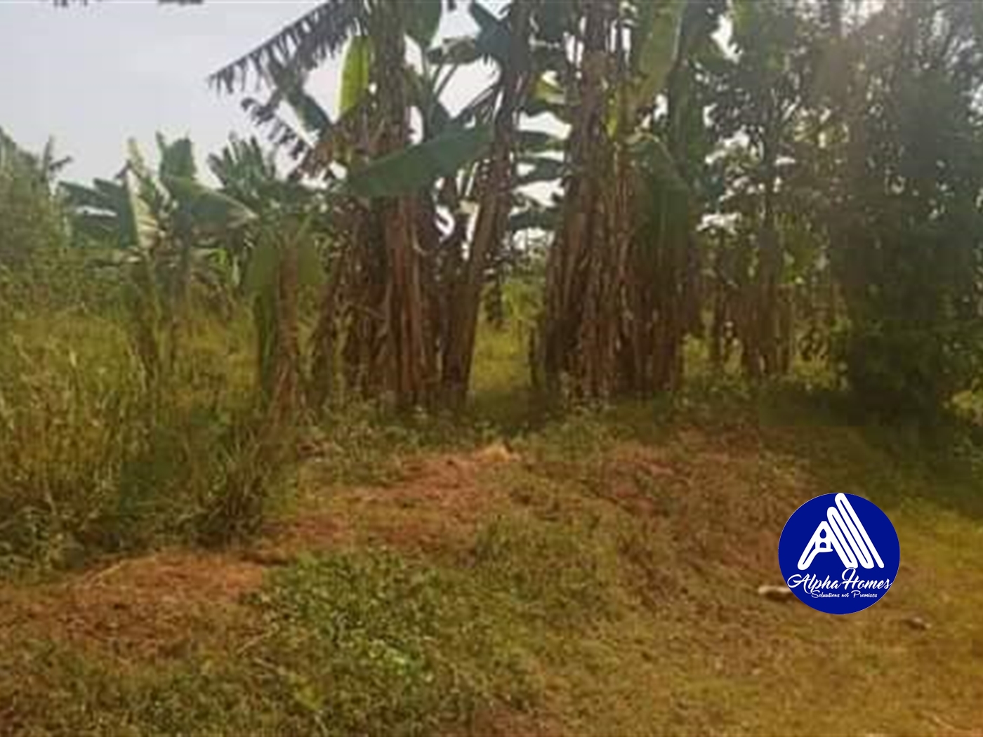 Residential Land for sale in Nakweelo Wakiso